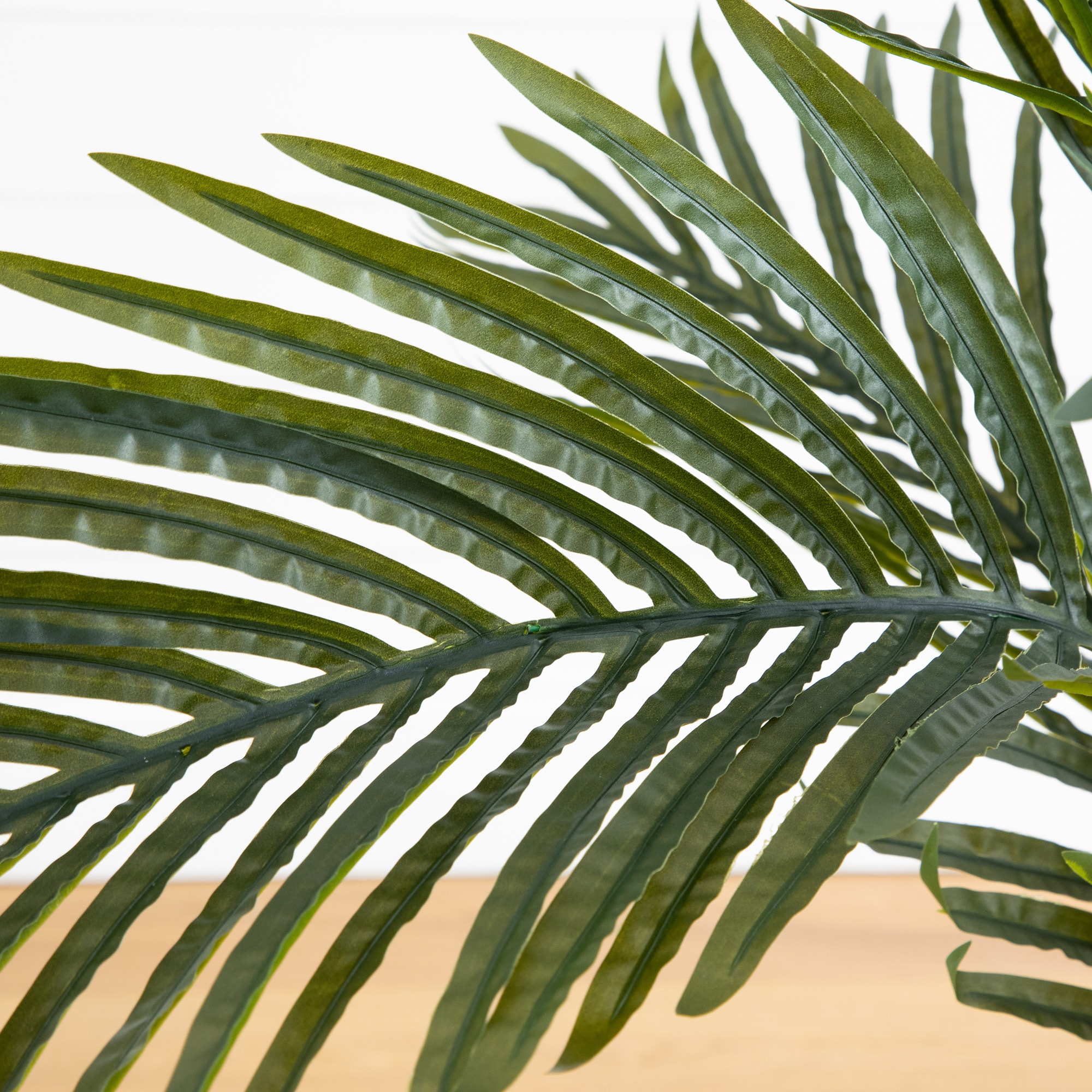 3ft. Potted Golden Cane Palm Tree
