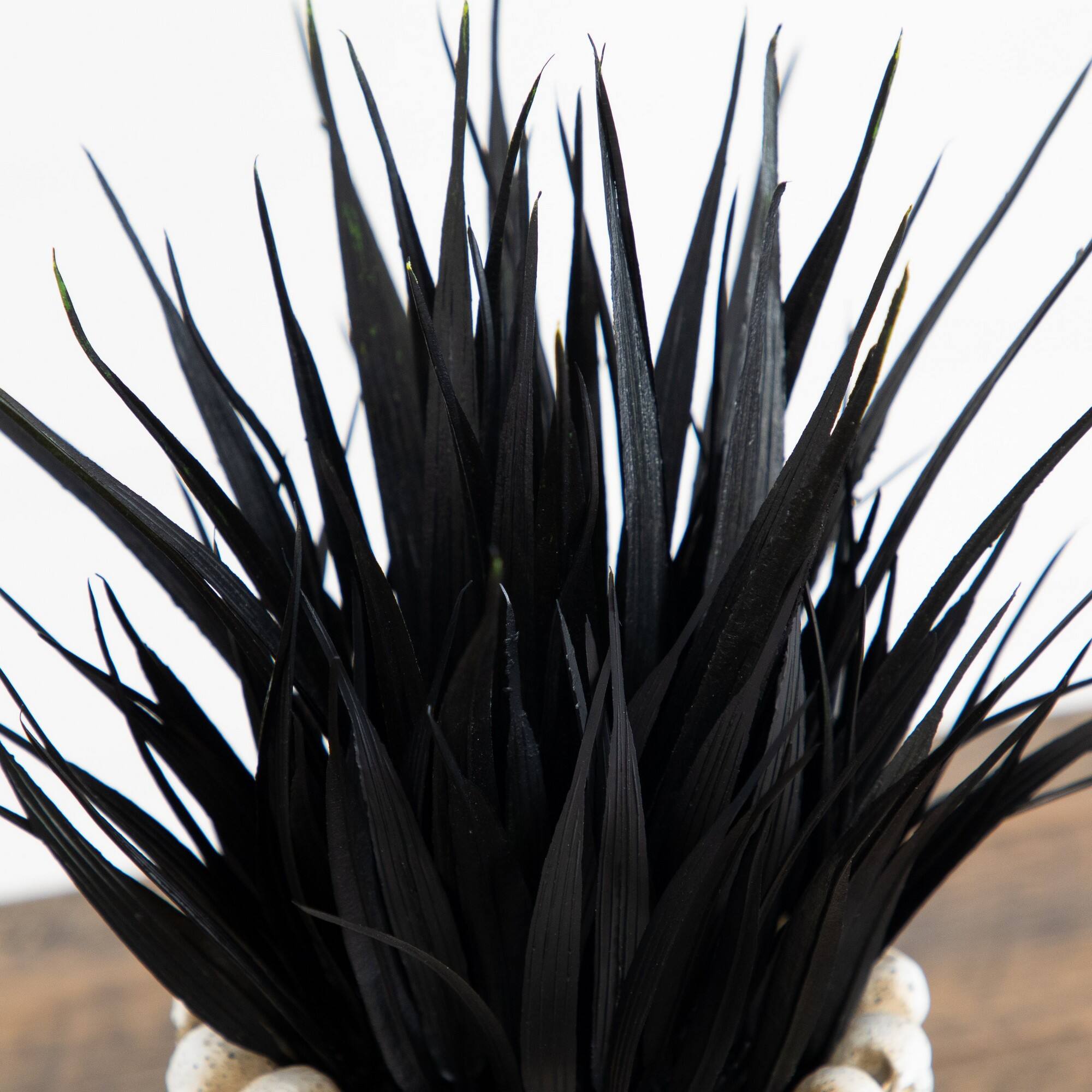 9" Artificial Halloween Black Succulent Plant in Gothic Skull Planter