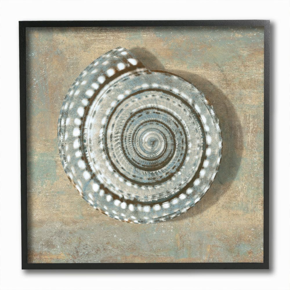 Stupell Industries Spiral Shell Beach Objects Design Black Framed Wall Art