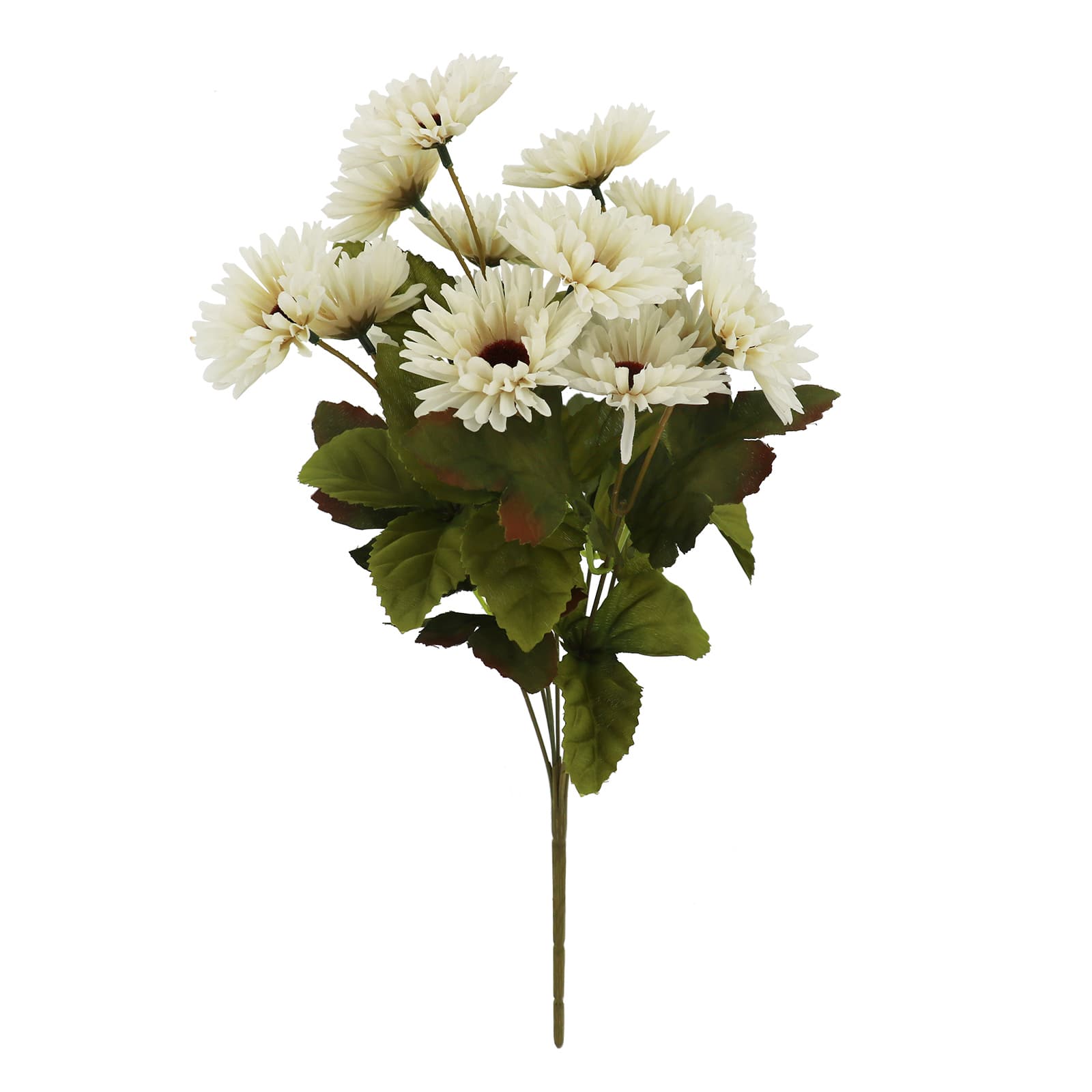 16" Toast Daisy Bush by Ashland®