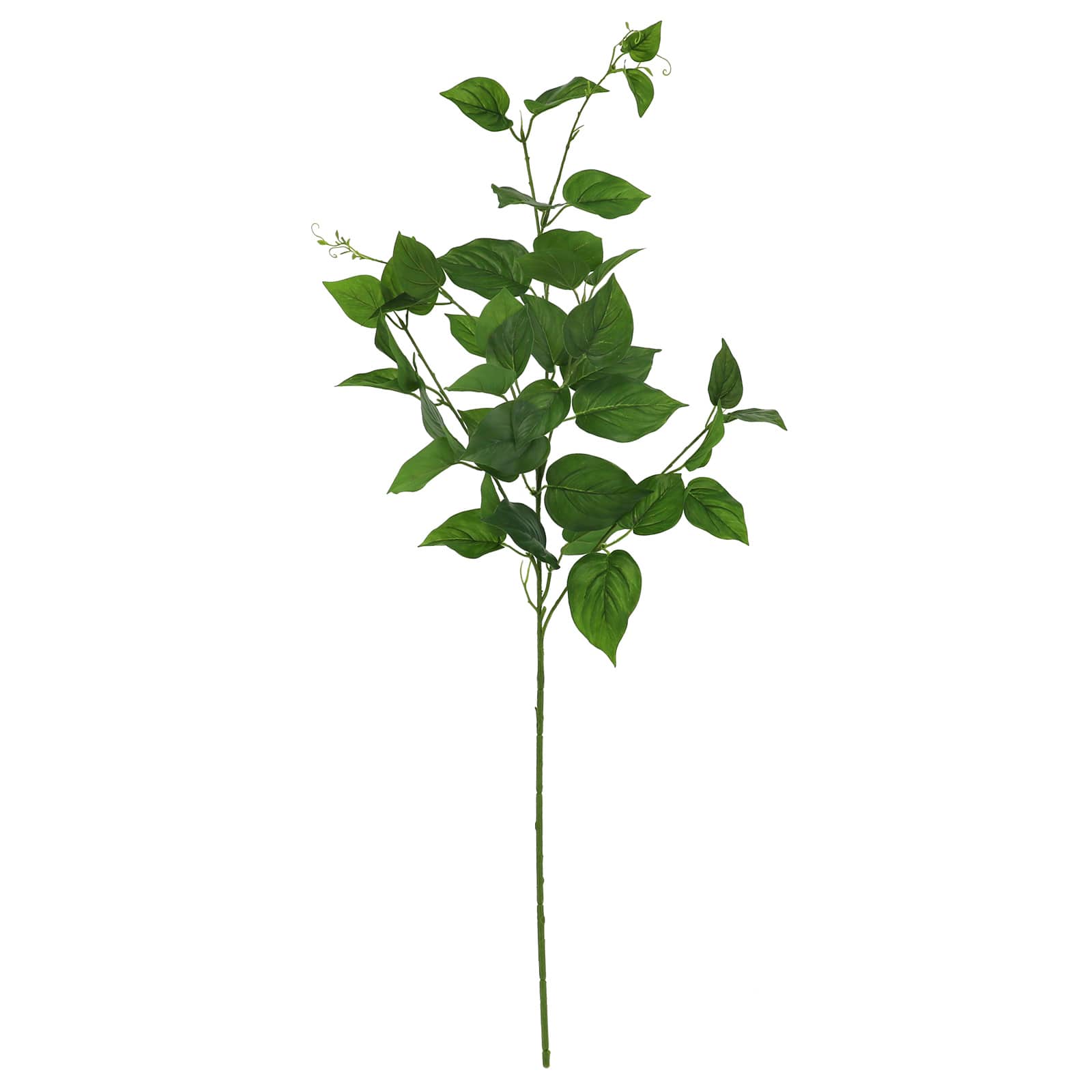 32" Scindapsus Stem by Ashland®