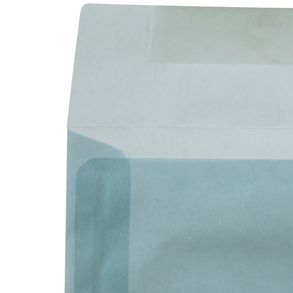 JAM Paper 8" x 8" Square Translucent Vellum Invitation Envelopes, 25ct.