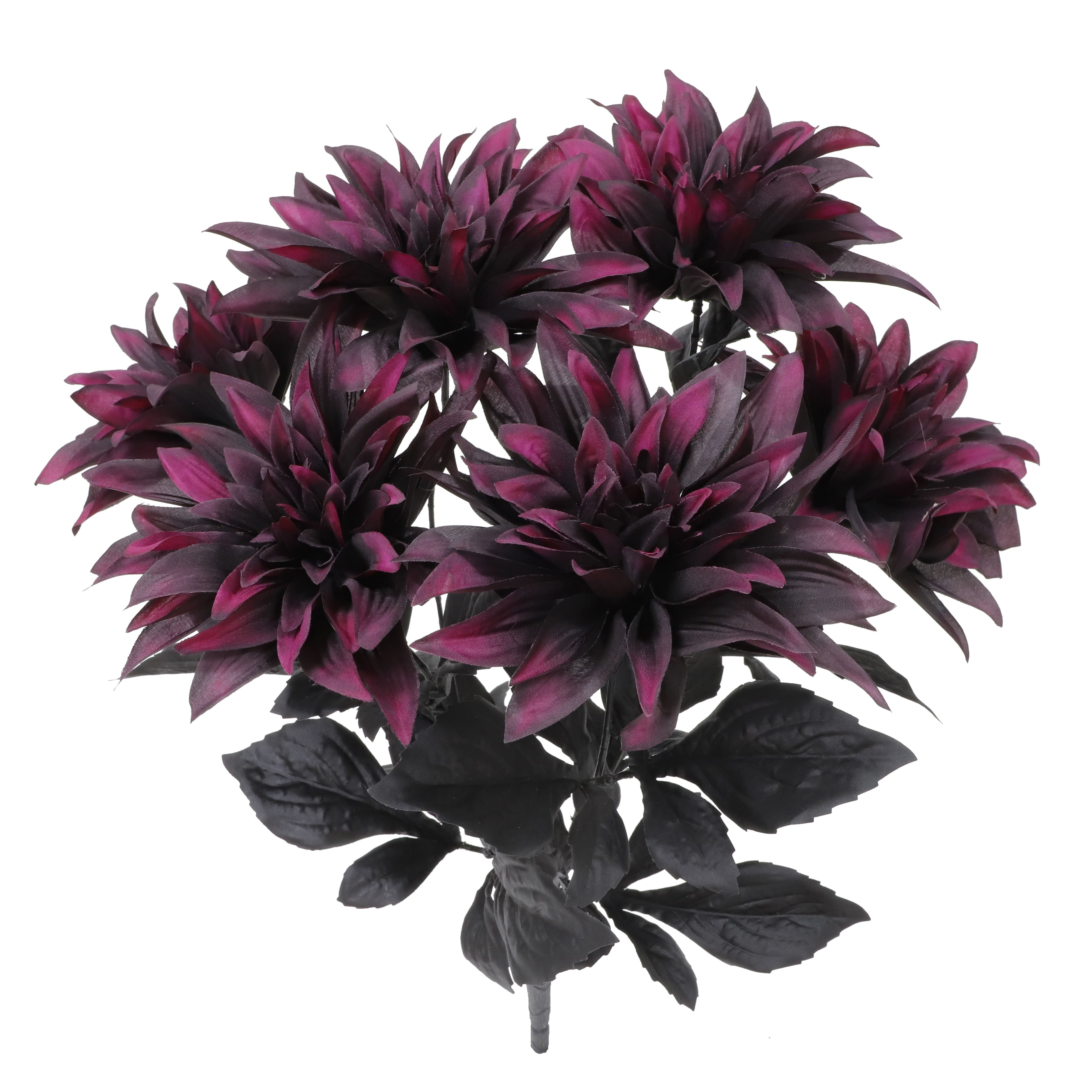19" Black & Wine Dahlia Bush by Ashland®