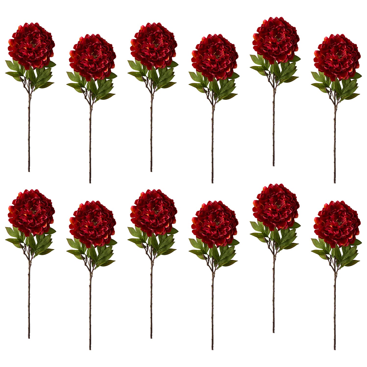 12 Pack: Red Peony Stem by Ashland®