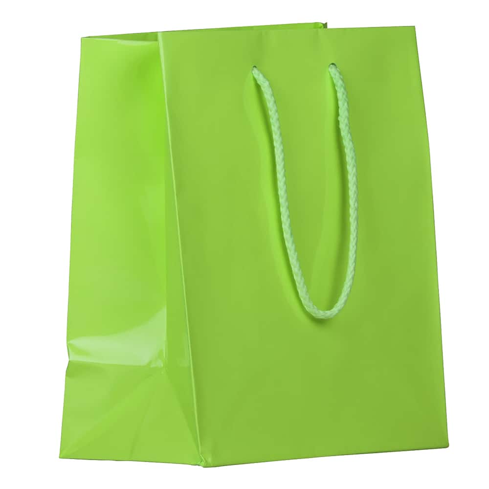JAM Paper Medium Glossy Gift Bags