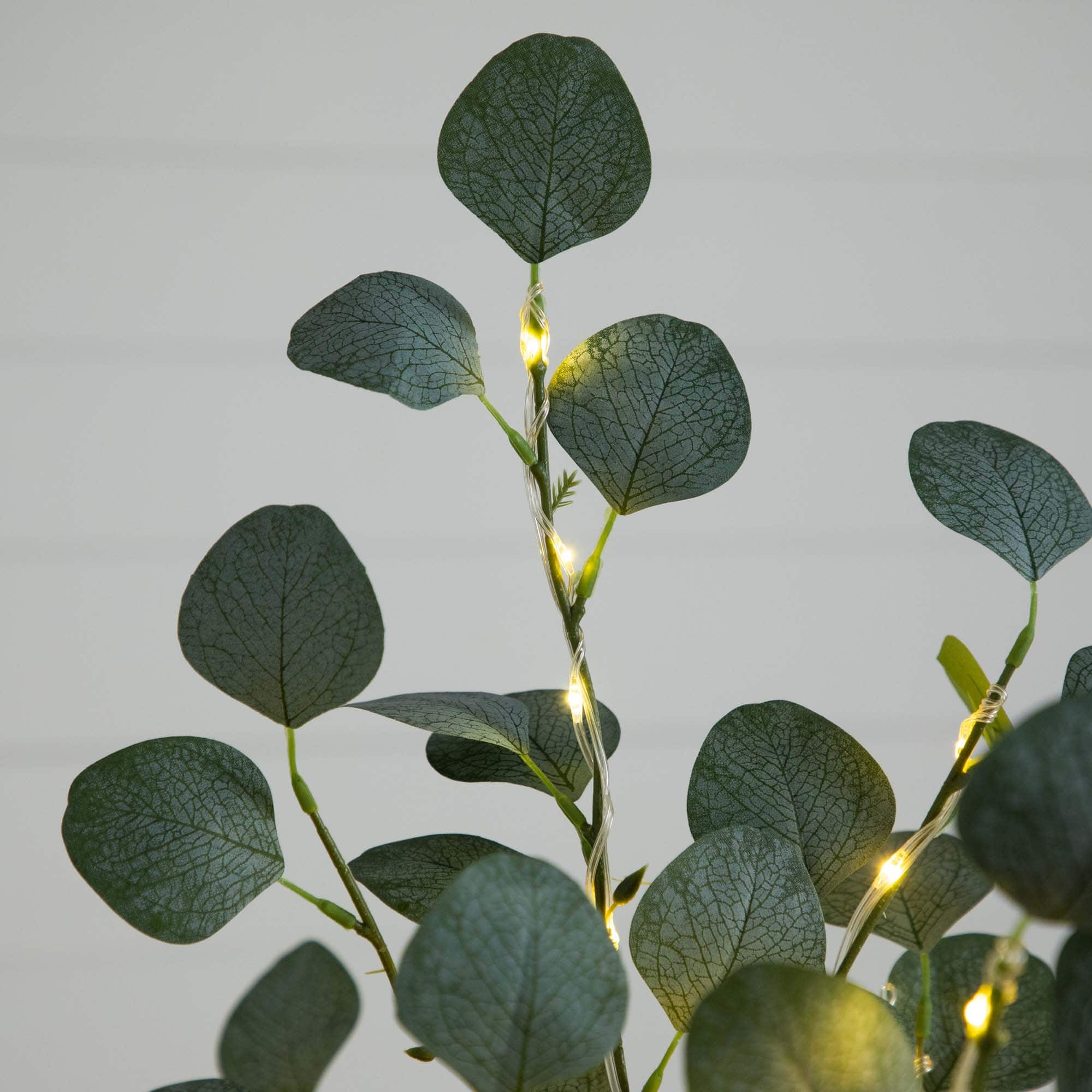 5ft. Pre-Lit Artificial Eucalyptus Tree with Warm White LED Lights