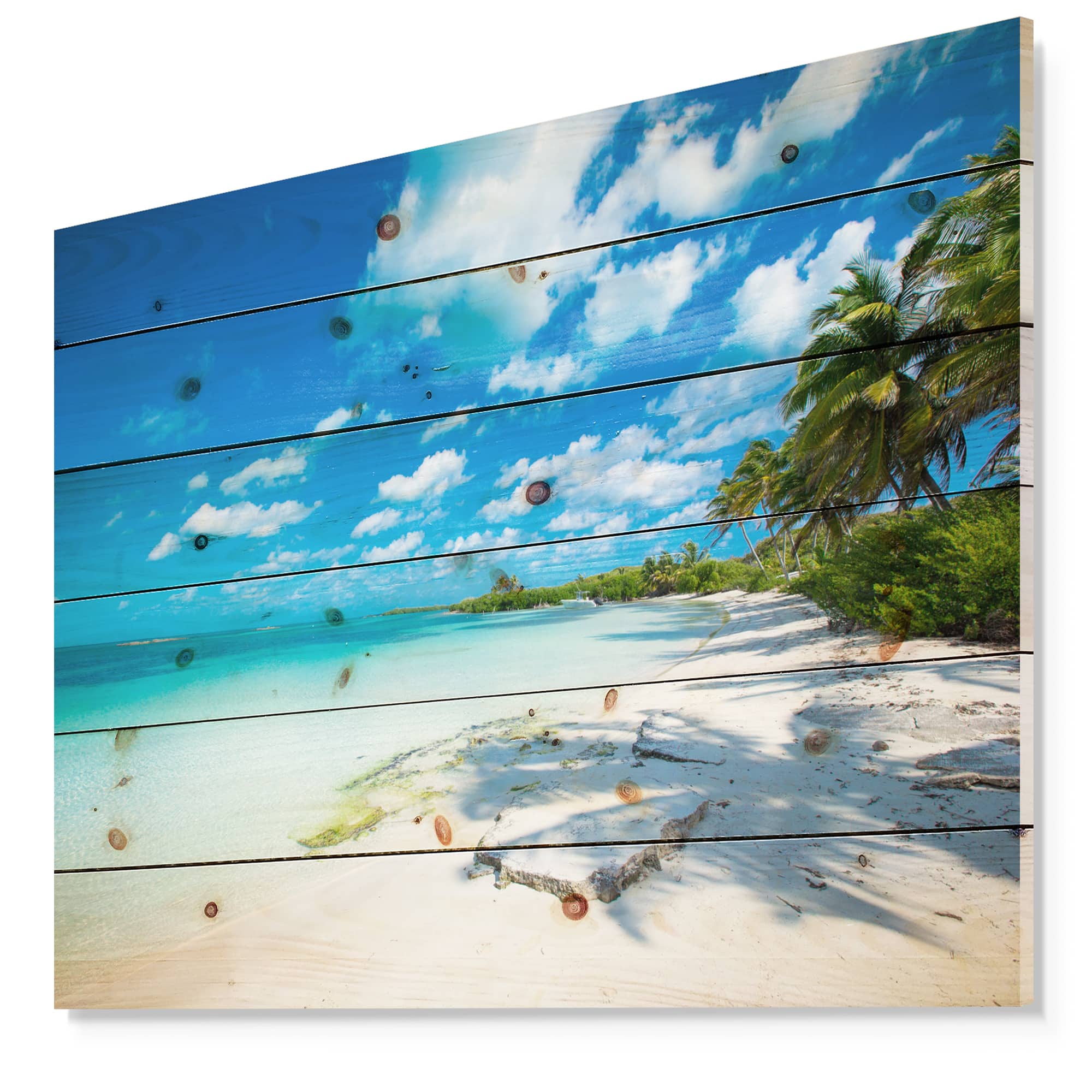 Designart - Tropical Beach with Palm Shadows - Seashore Print on Natural Pine Wood