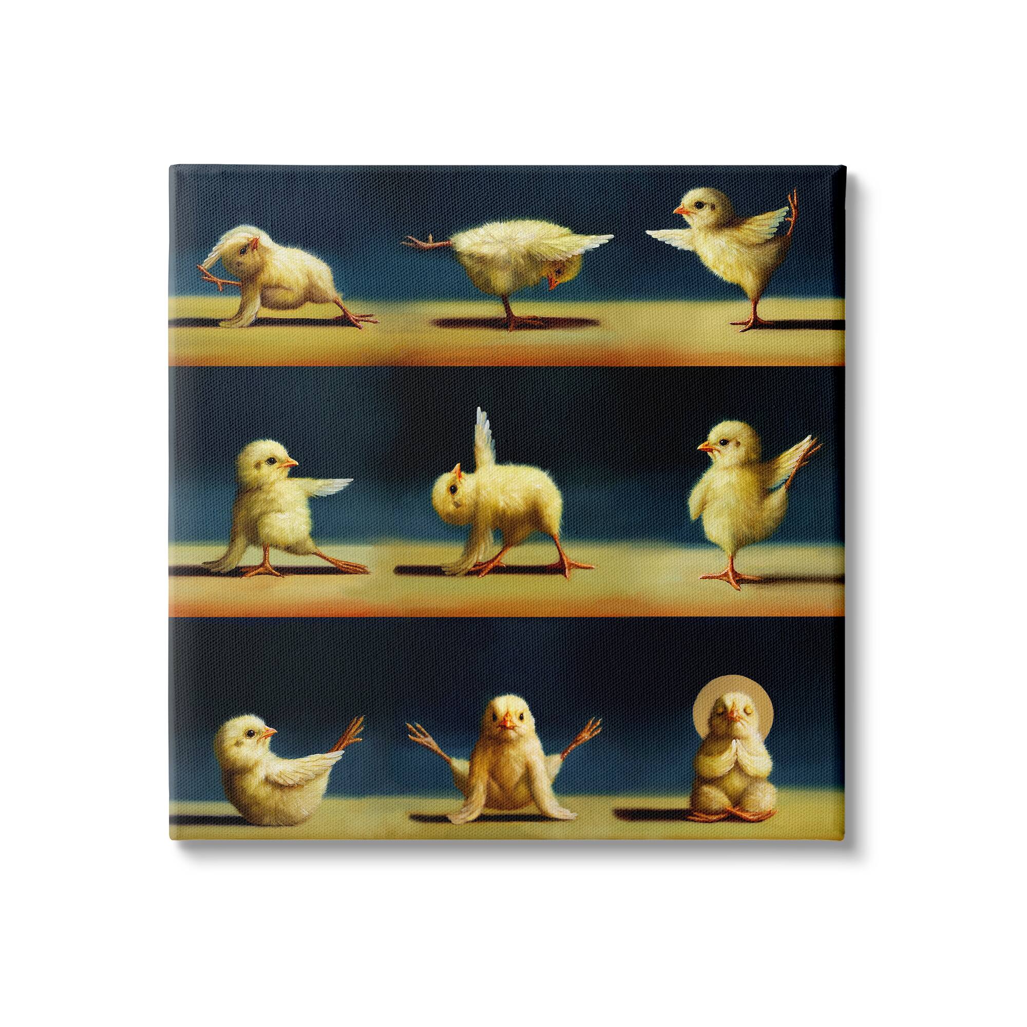 Stupell Industries Yoga Chicks Stretching Farm Animals Funny Exercise Painting Canvas Wall Art
