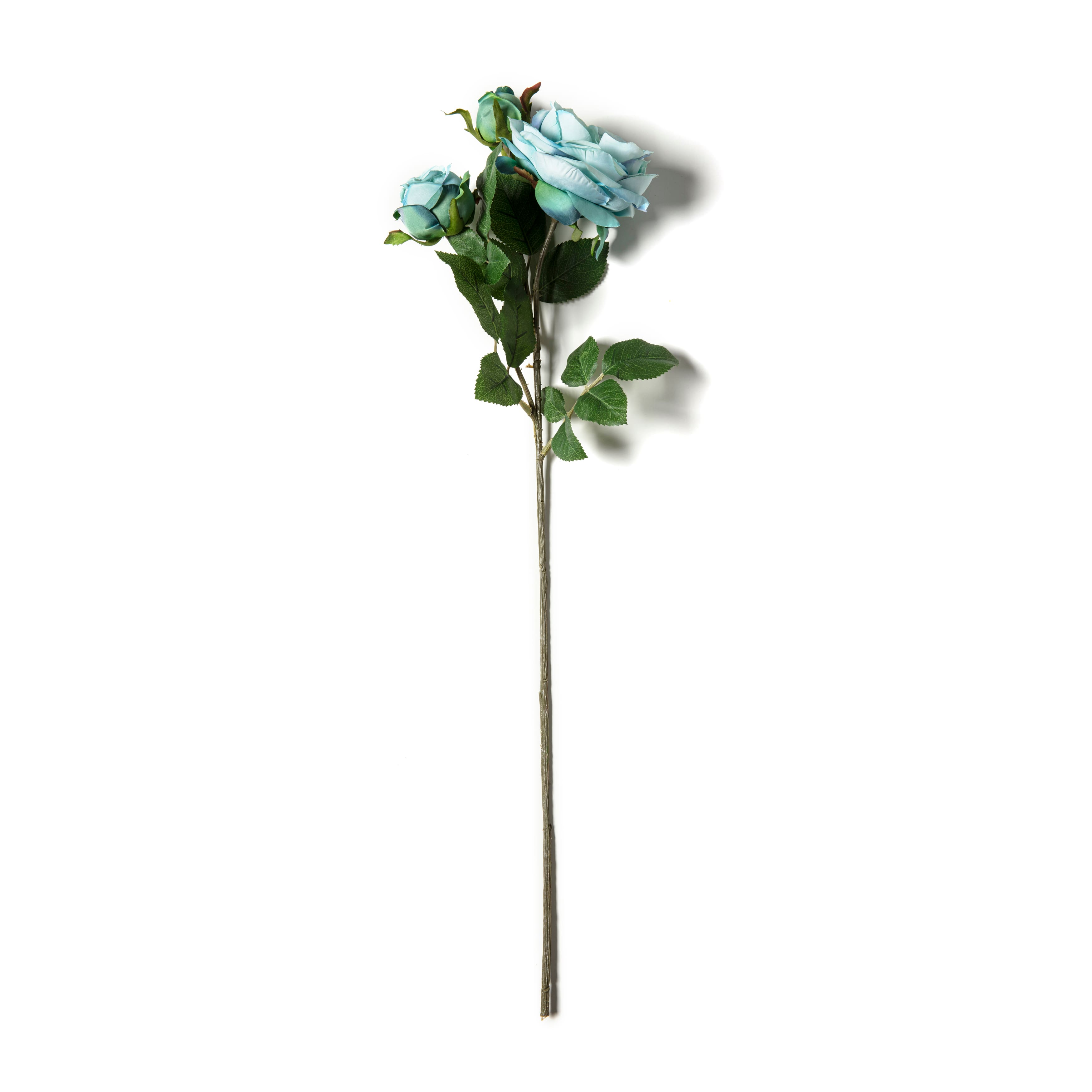 Teal English Rose Stem by Ashland®