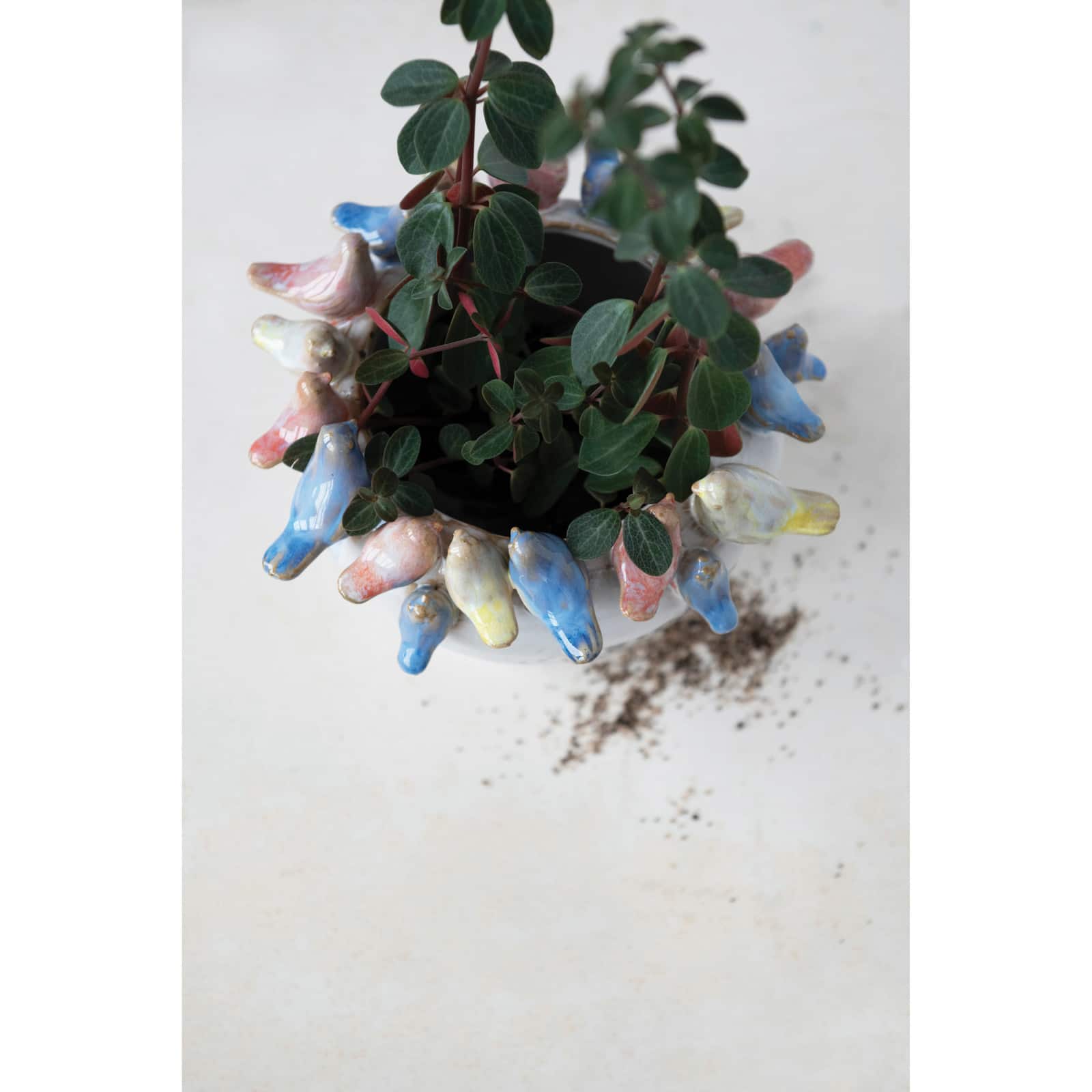 Hello Honey® 6'' Reactive Glaze Stoneware Planter with Birds on Rim