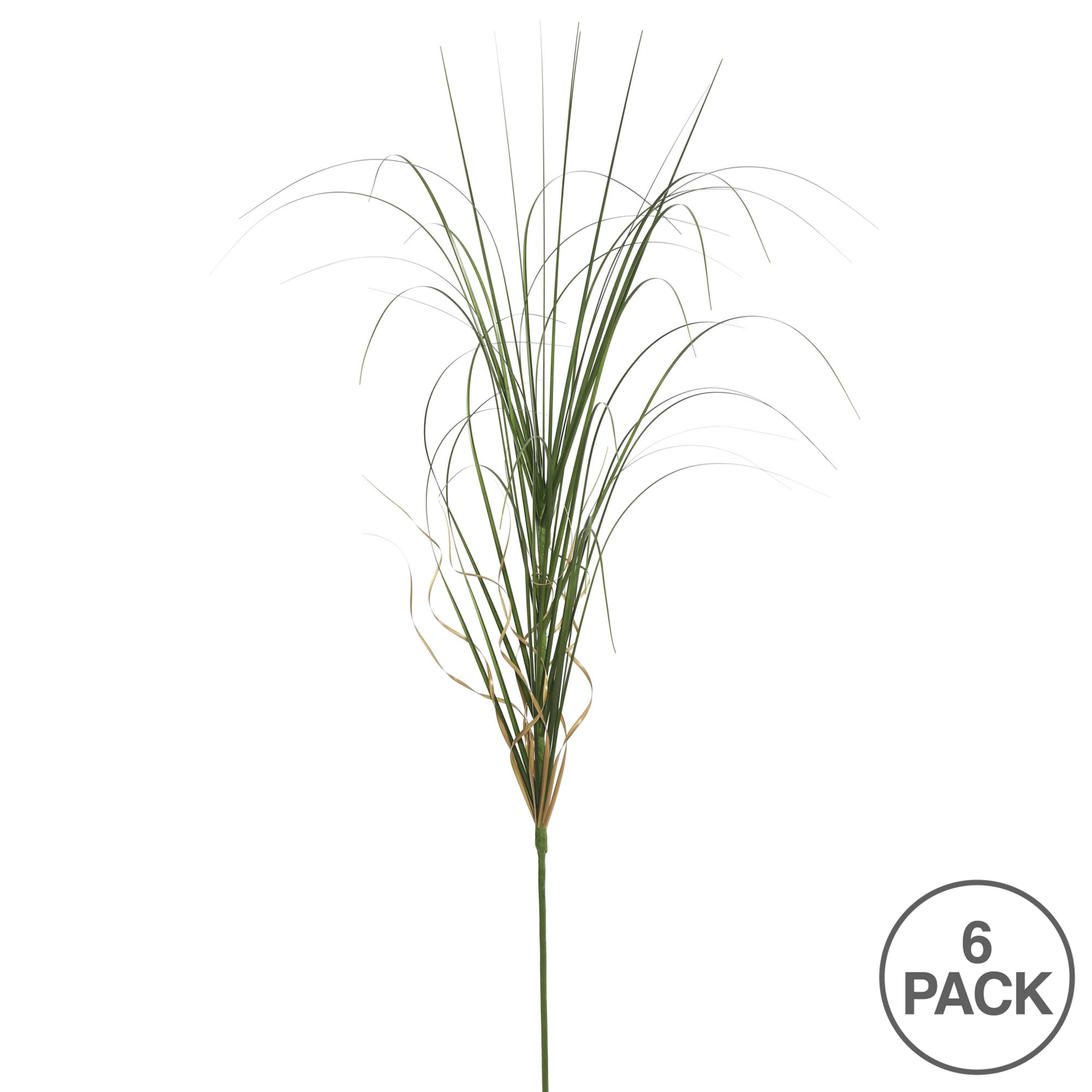 6 Pack: Green Curled Grass Spray