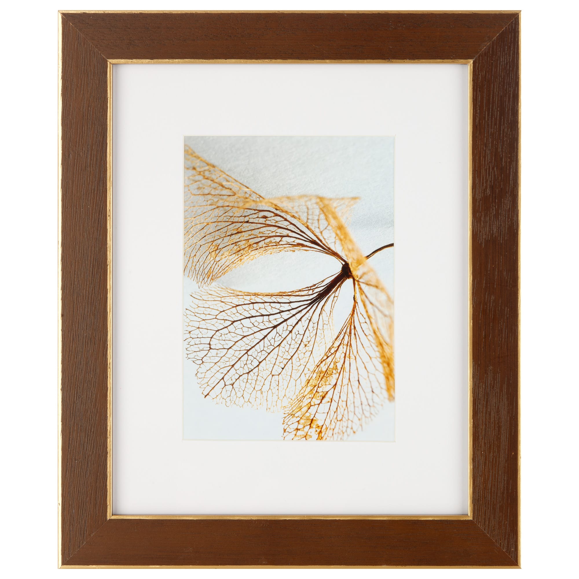8 Pack: Walnut & Gold Trim Frame with Mat, Gallery by Studio Décor®