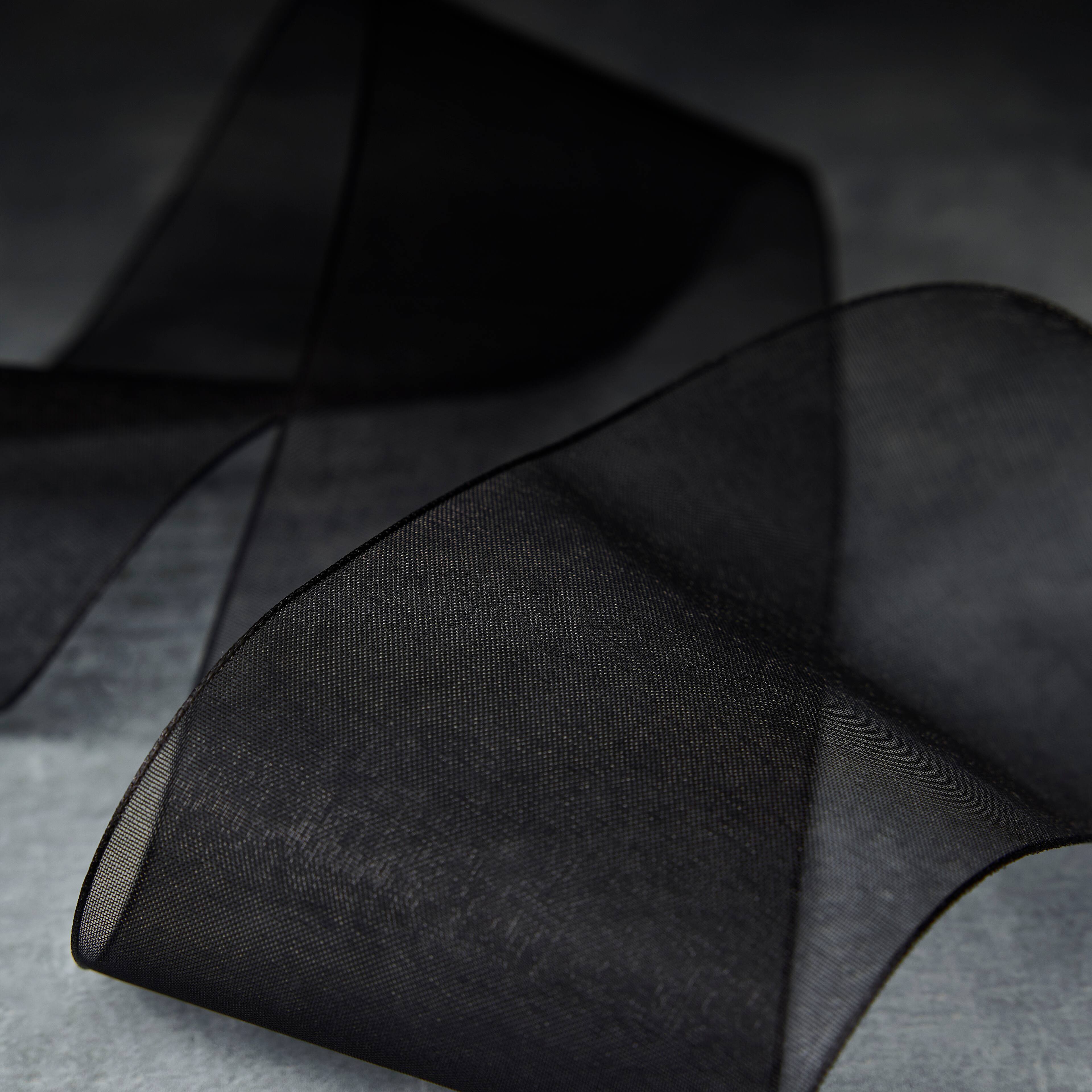 2.5" x 10yd. Sheer Ribbon by Celebrate It® Specialty