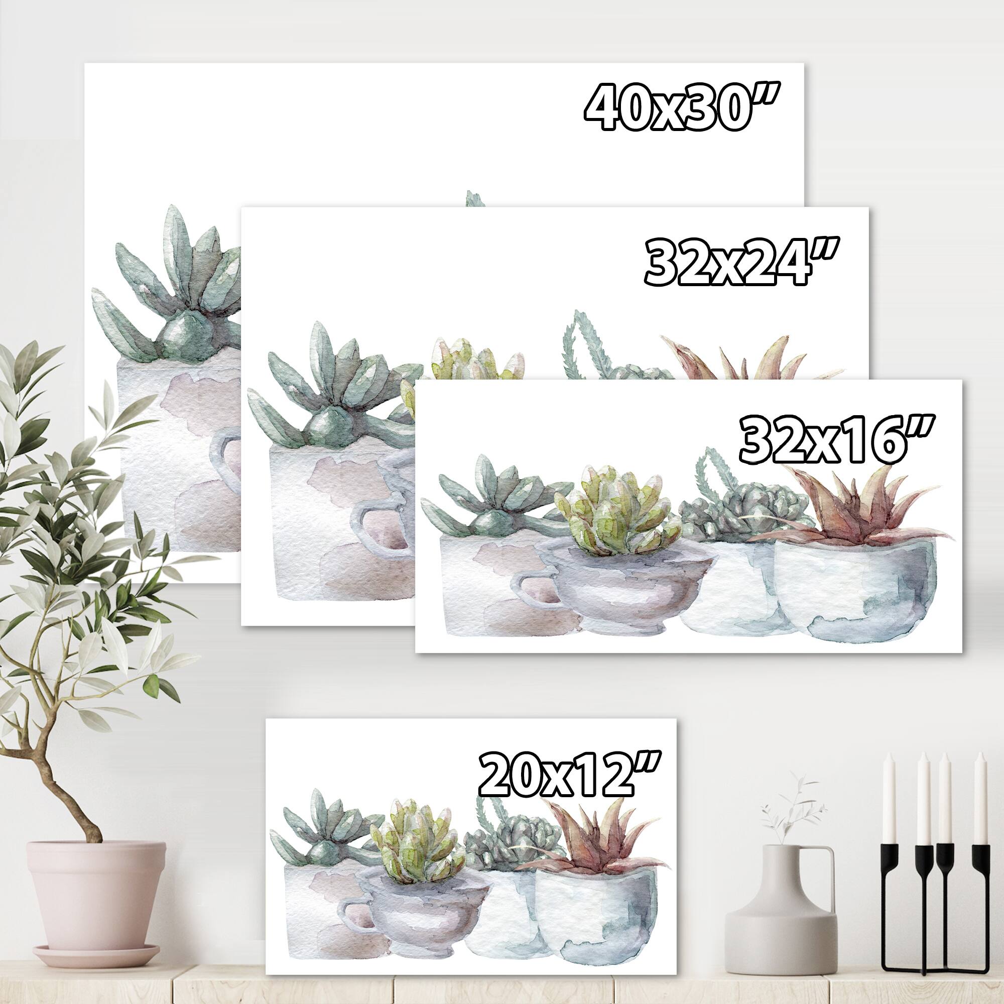 Designart - Cactus and Succulent House Plants IV - Farmhouse Canvas Wall Art Print