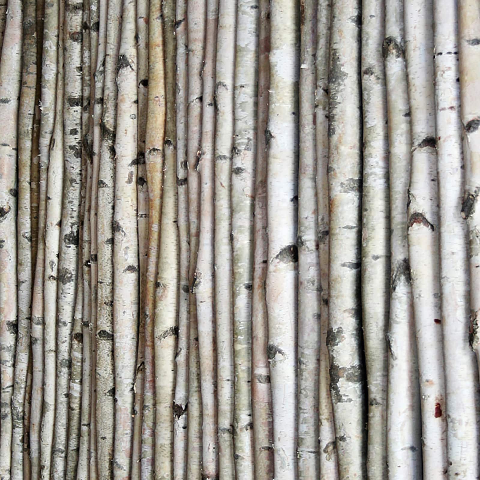 Wilson® Enterprises White Birch Poles