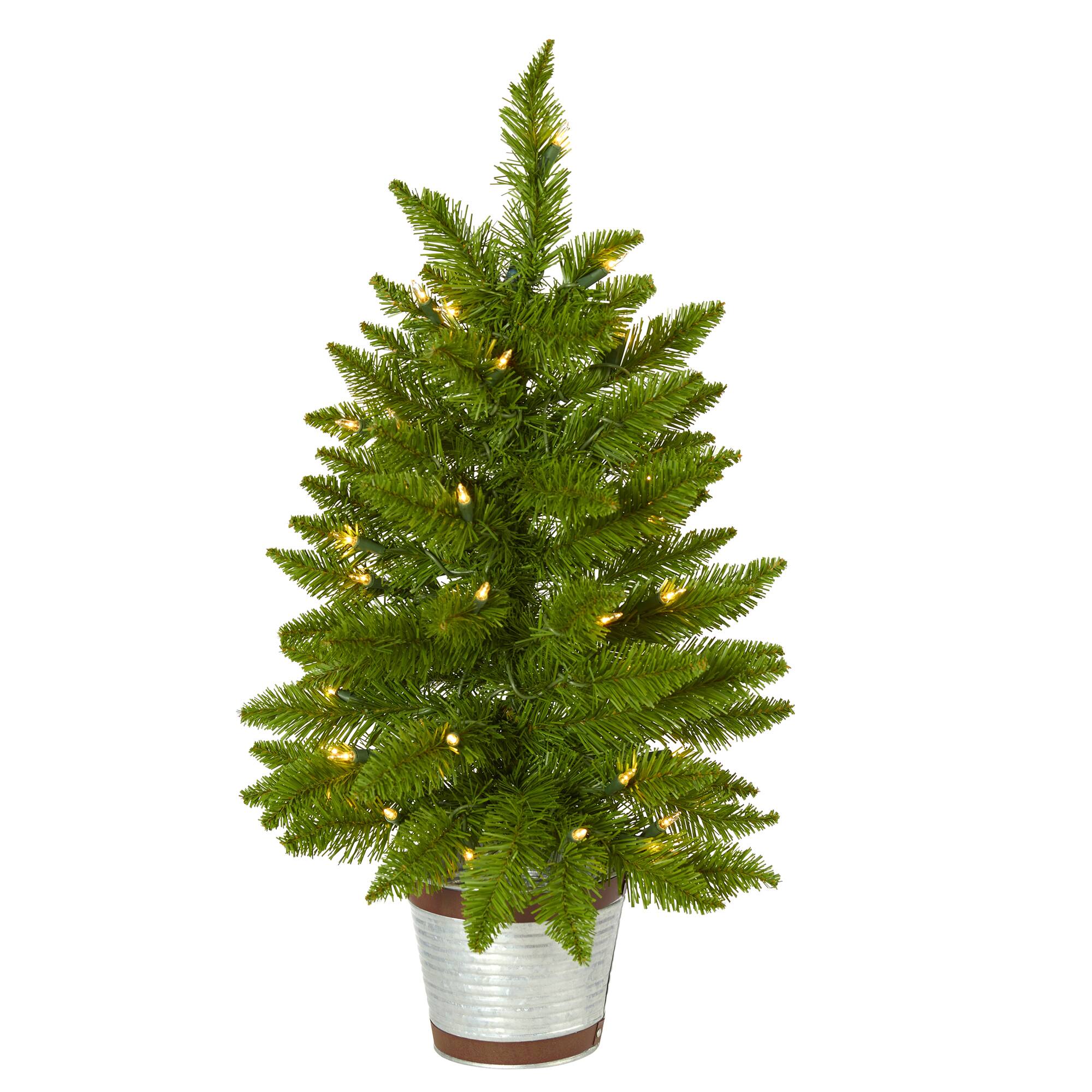 2ft. Pre-Lit Providence Pine Artificial Christmas Tree, Warm White Lights