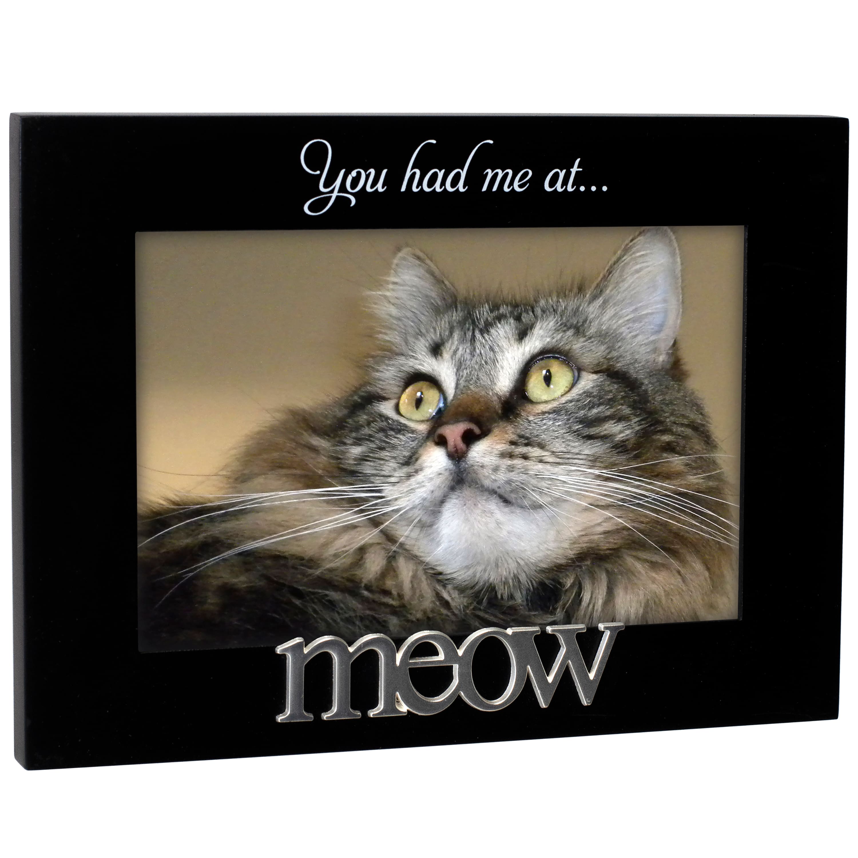 Malden International Designs You Had Me at Meow Expressions 4" x 6" Black Cat Frame