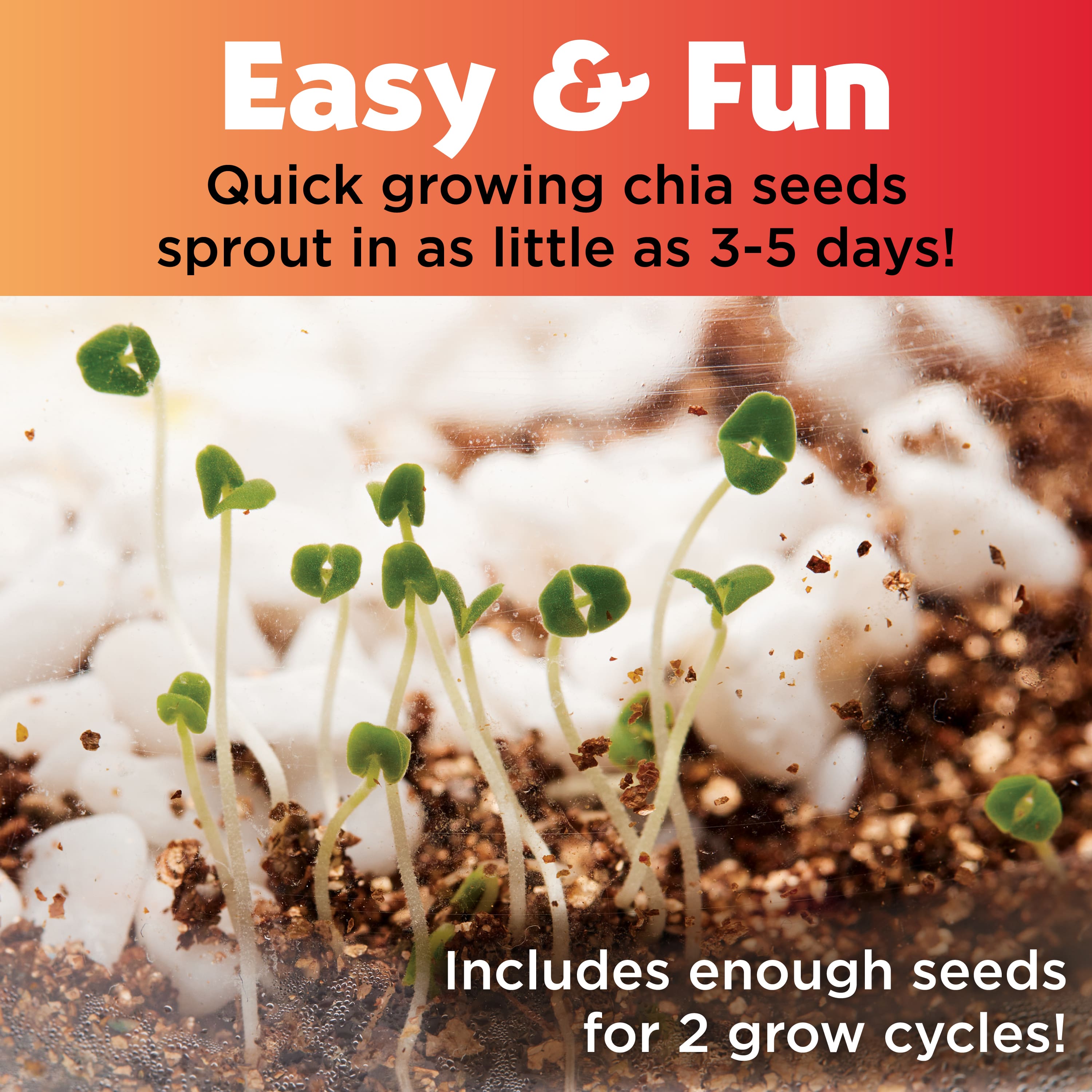 Creativity for Kids® Plant & Grow Woodland Forest