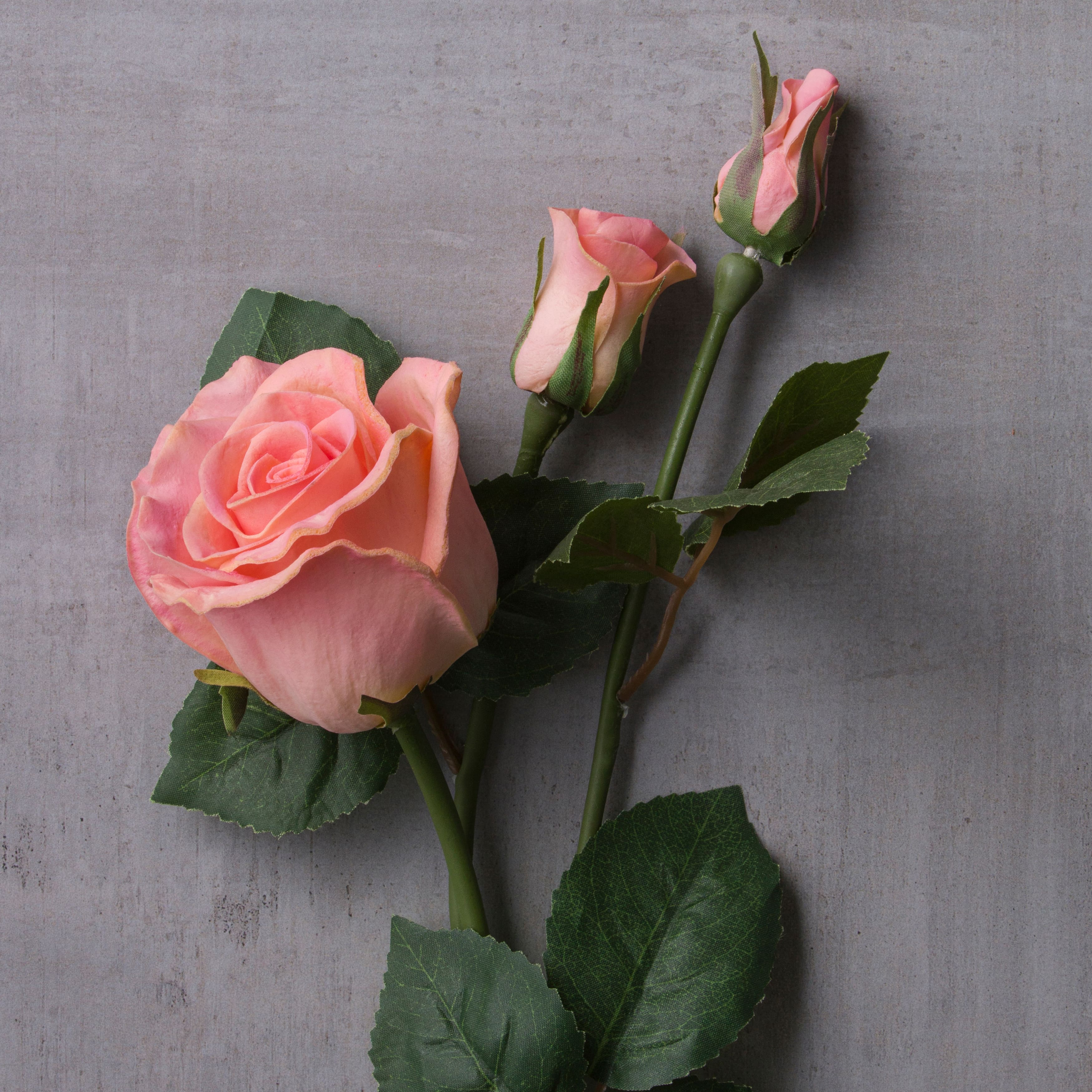 Blush Faux Real Rose Stem by Ashland®