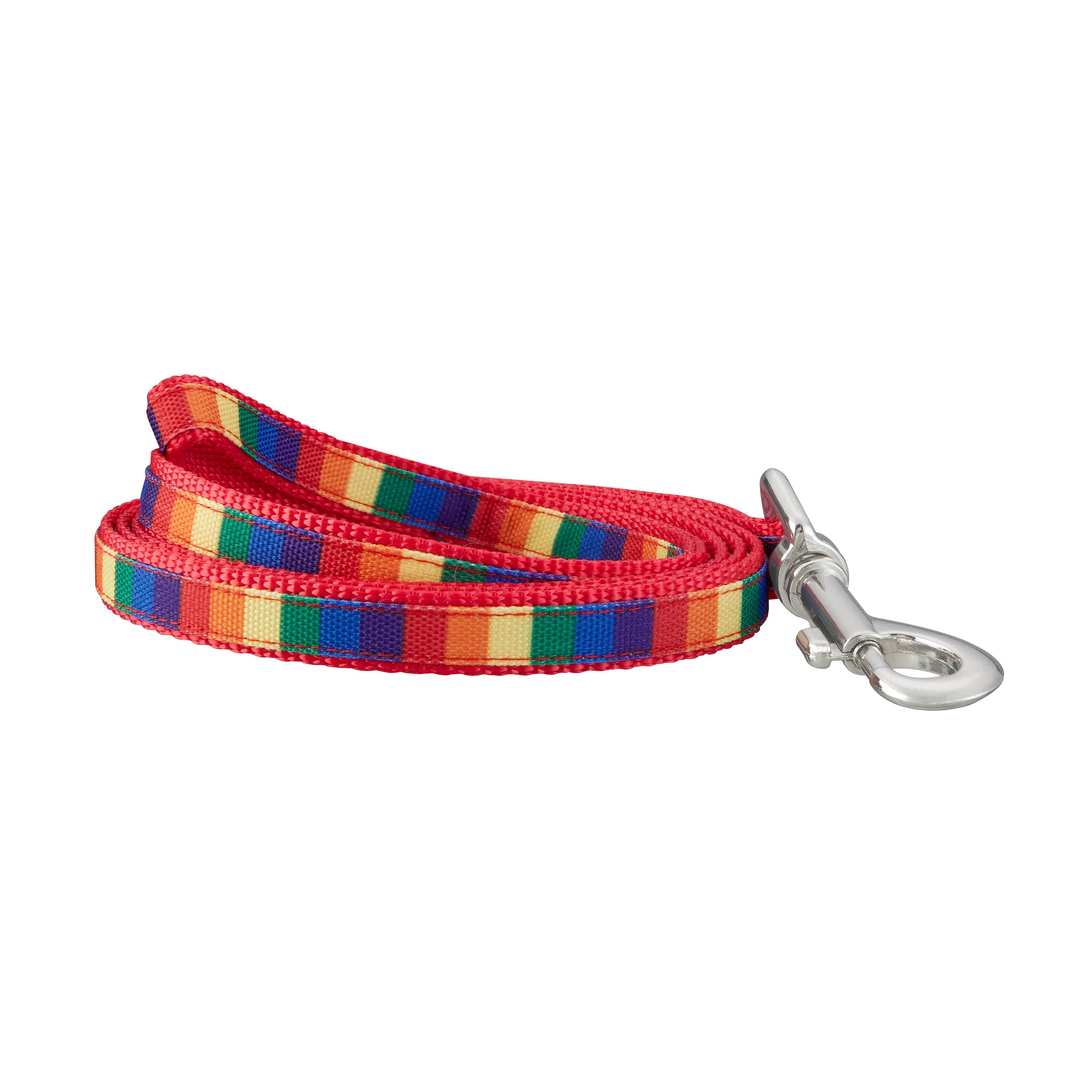 Best Furry Friends Pride Leash