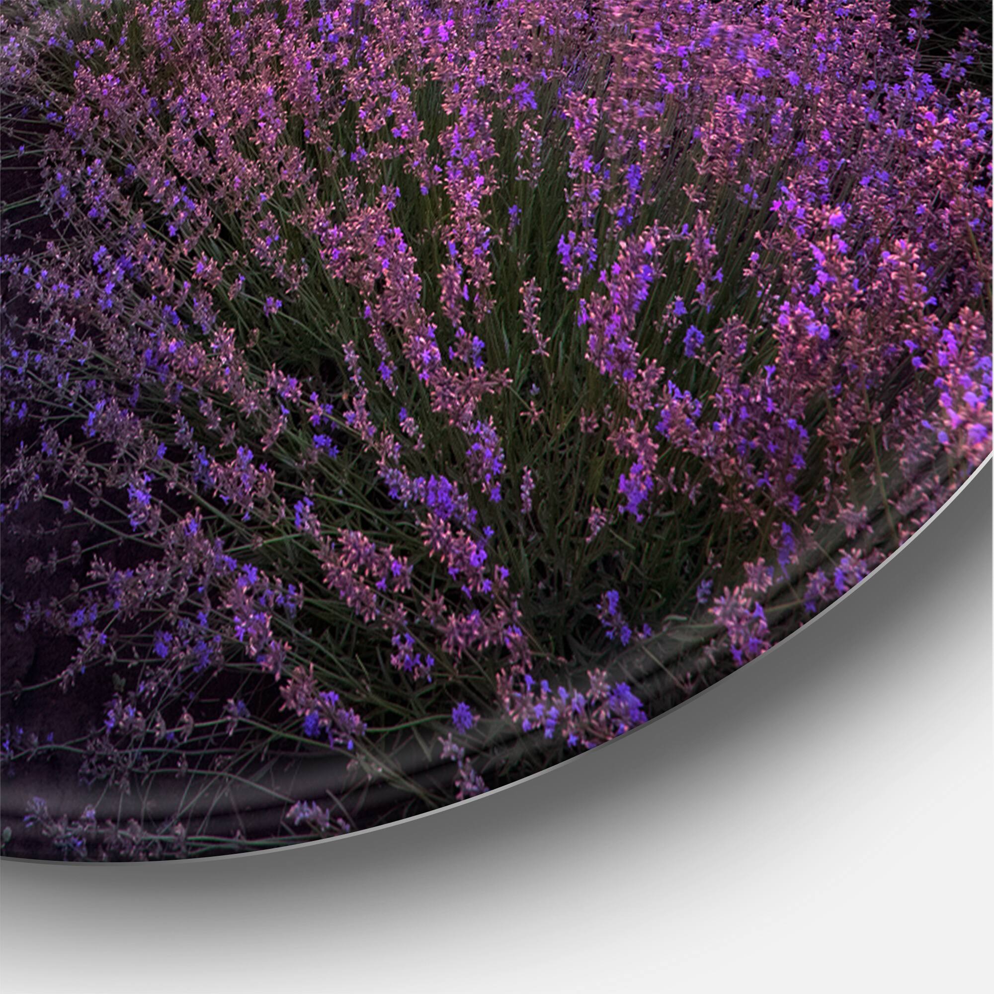 Designart - Sunrise & Dramatic Clouds Over Lavender Field XIII - Farmhouse Metal Circle Wall Art