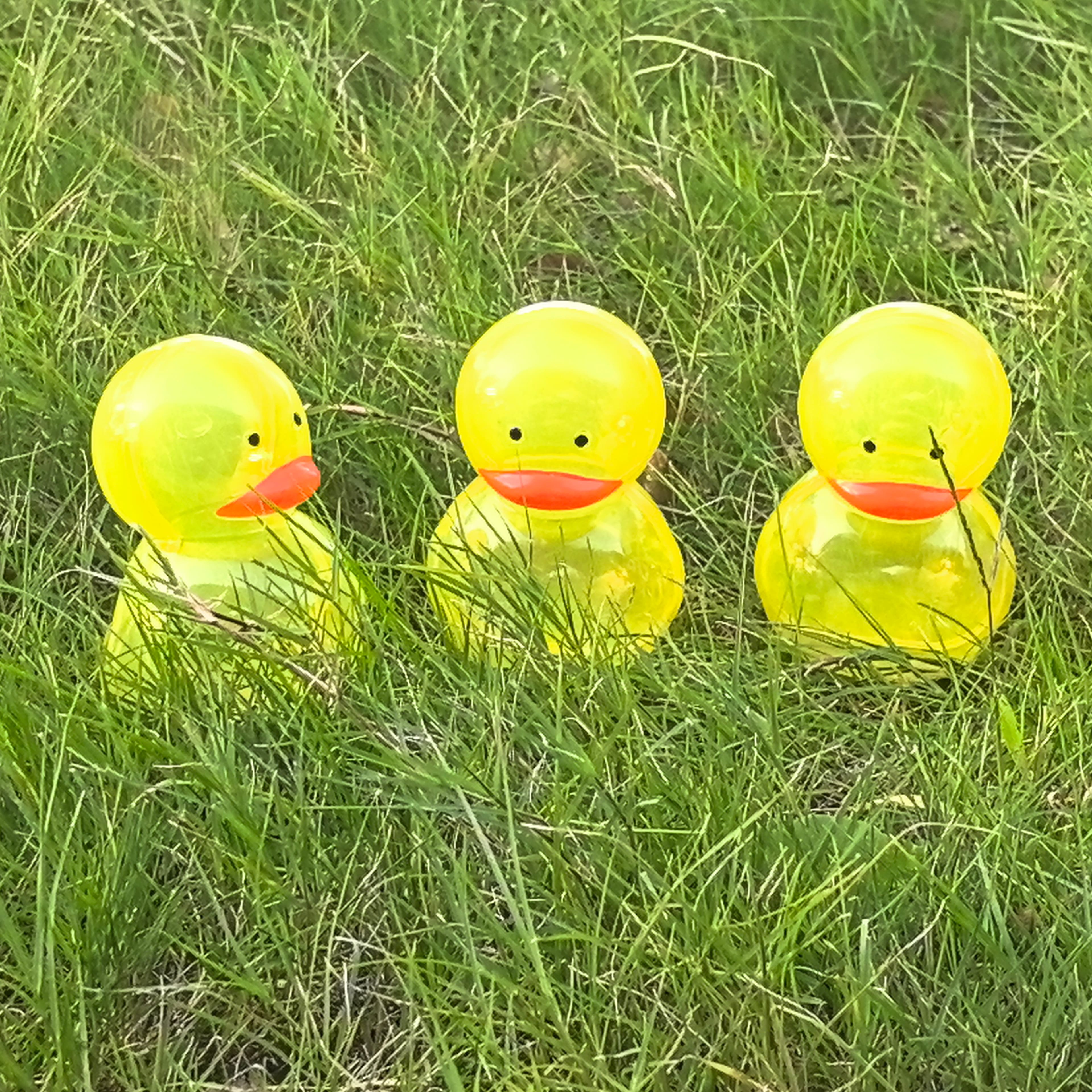 4" Yellow Chick Plastic Easter Eggs, 3ct. by Creatology™