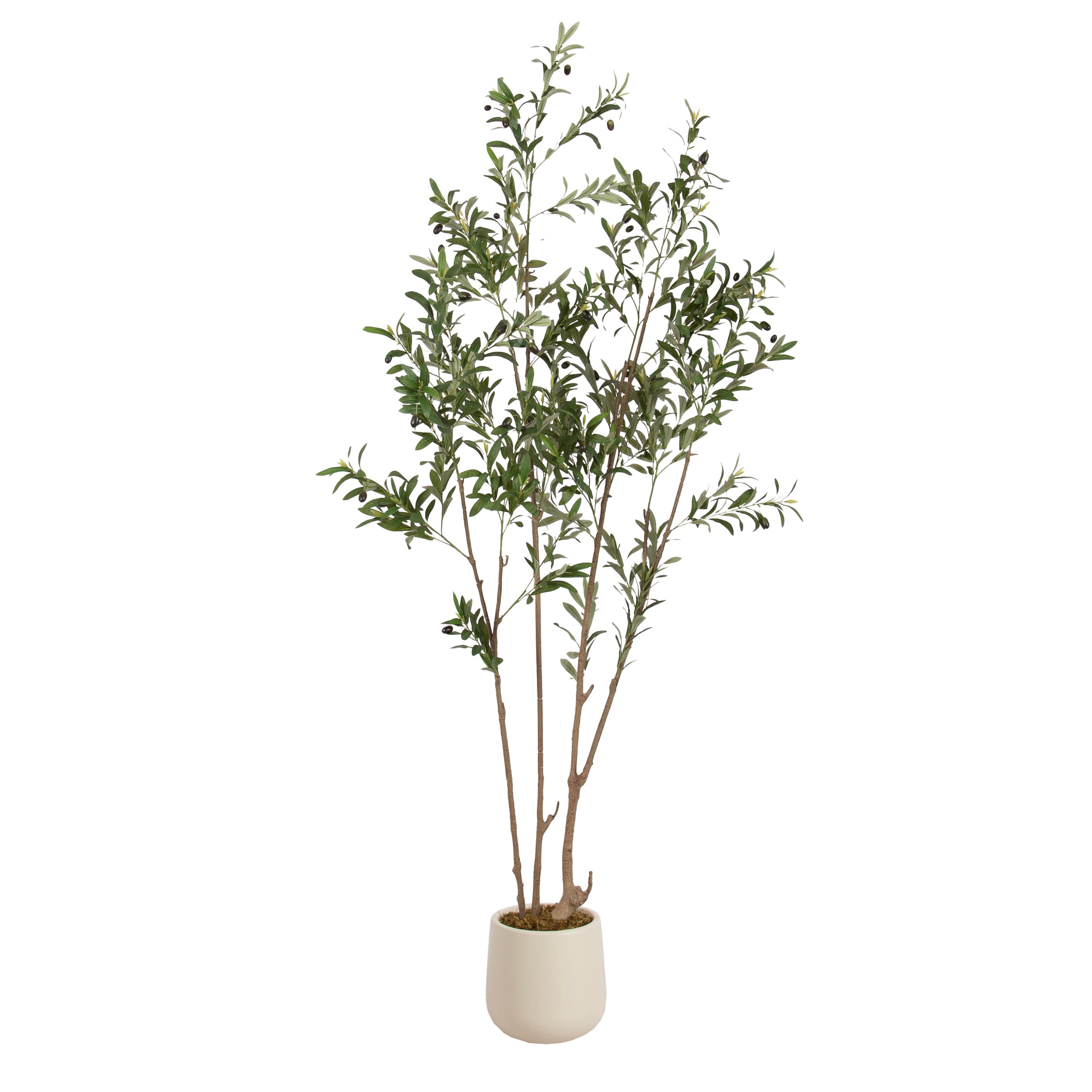 Kate and Laurel 7ft. Oliveira Faux Olive Tree with Jia Curved Cream Planter