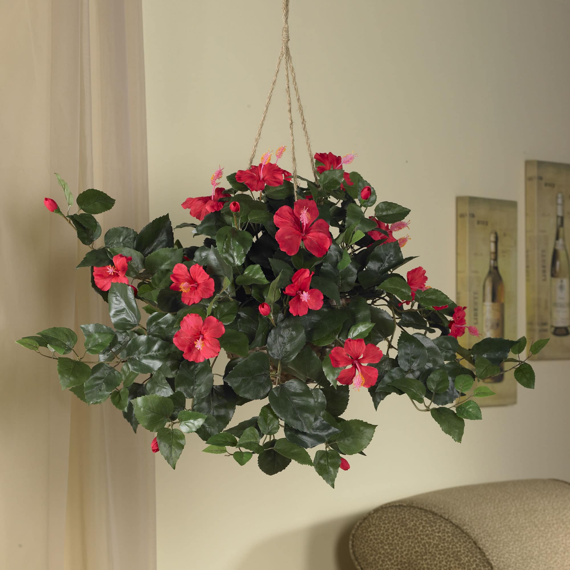 24" Red Hibiscus In Hanging Basket