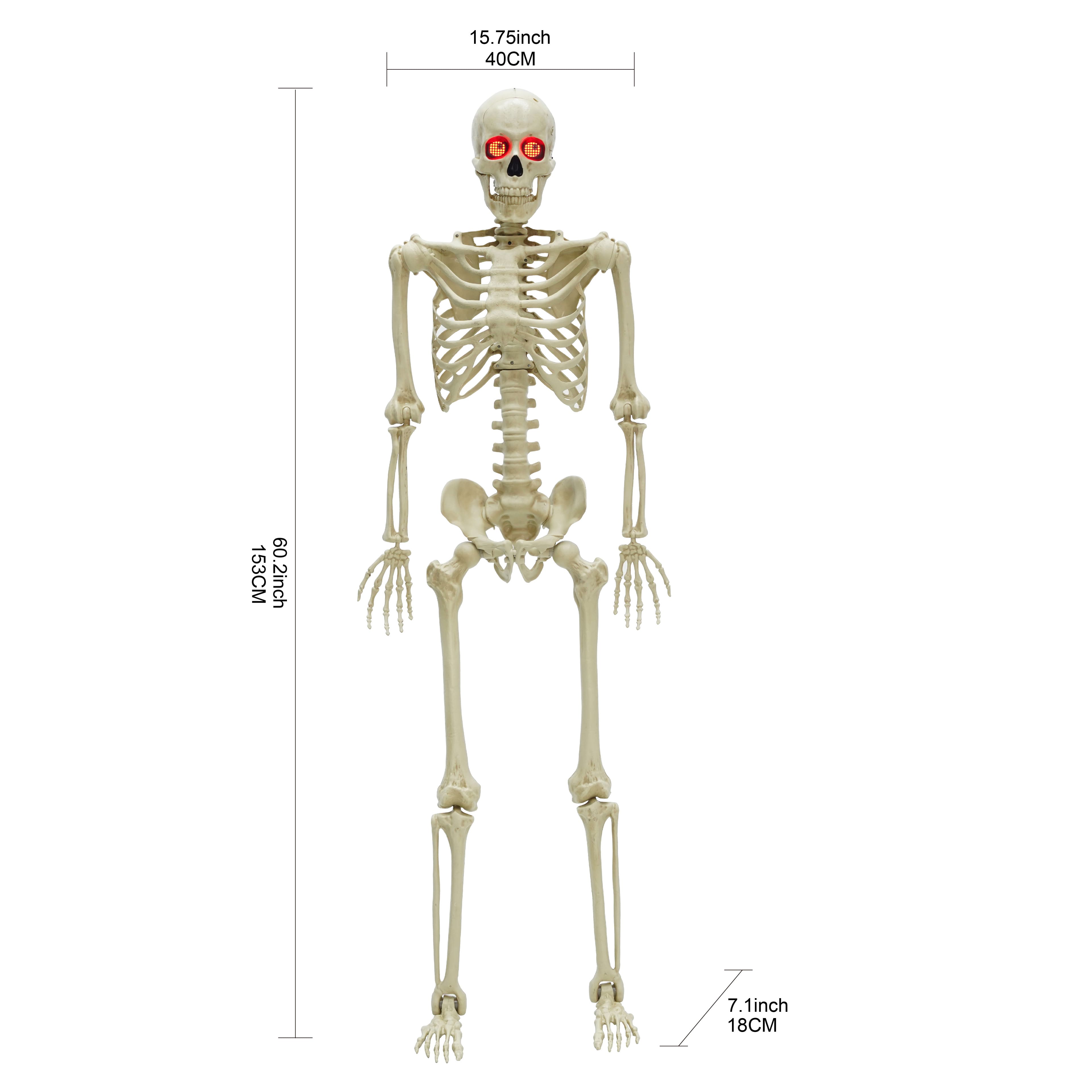 5ft. Light Up Eyes Skeleton by Ashland®