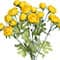 15.5" Mini Ranunculus Bush by Ashland®