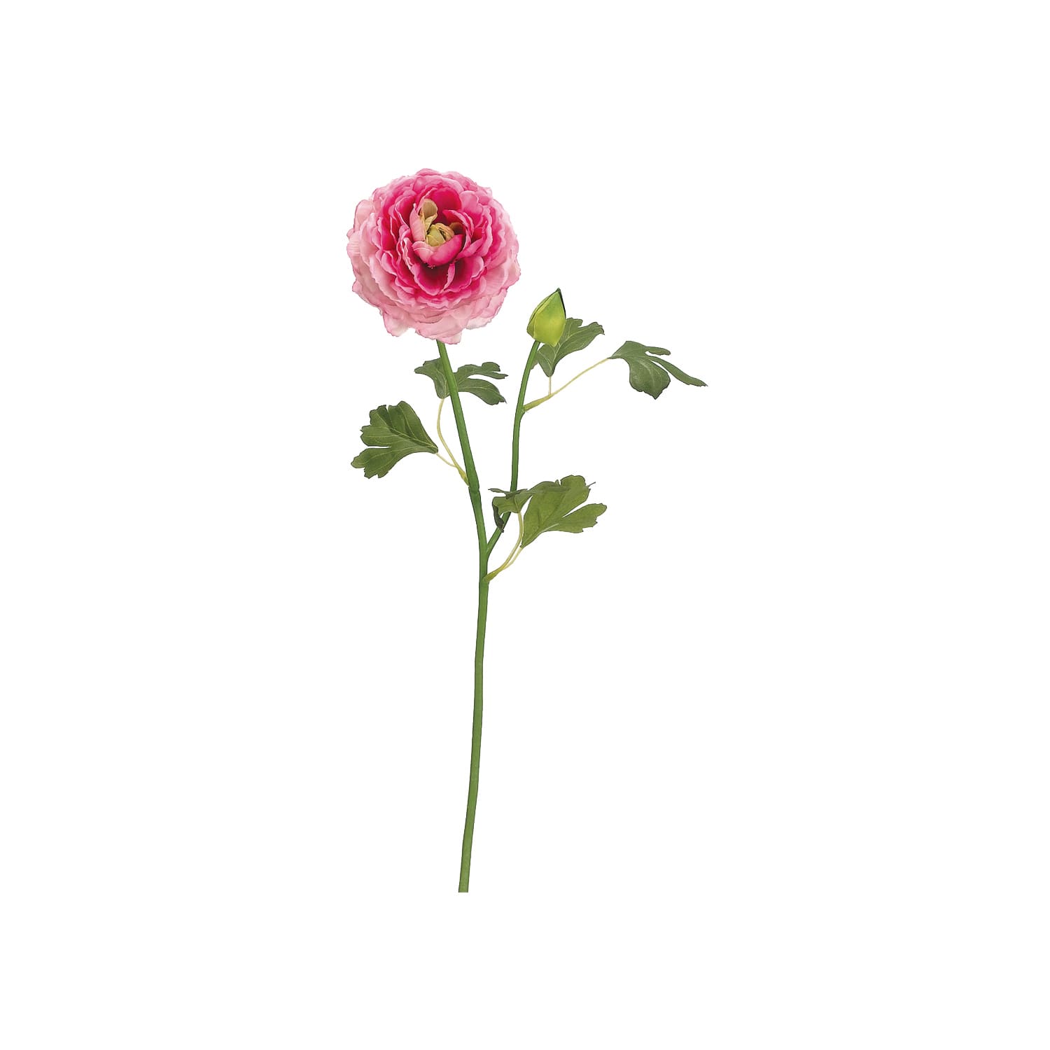 Pink Ranunculus Spray