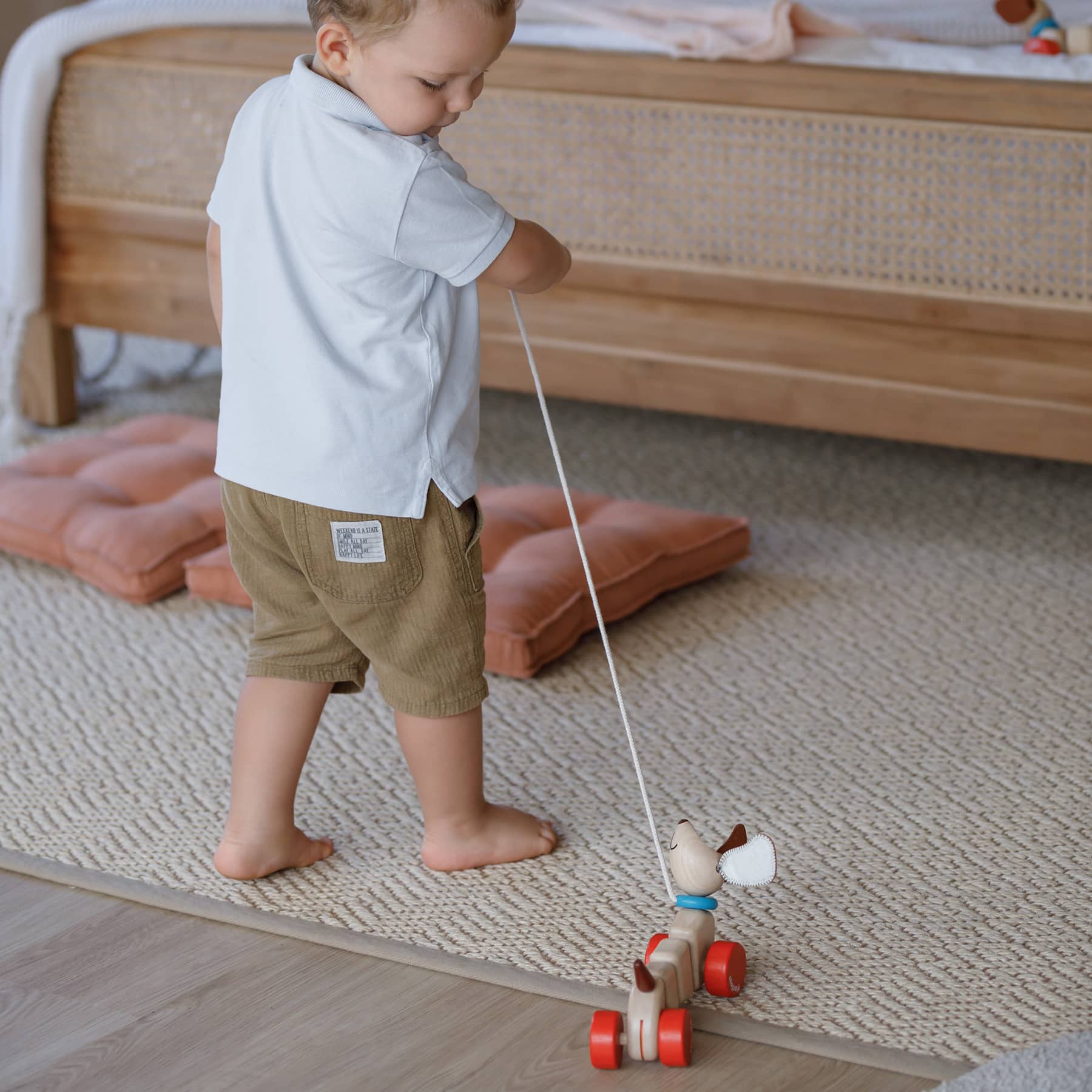 PlanToys Happy Puppy Wooden Pull Toy