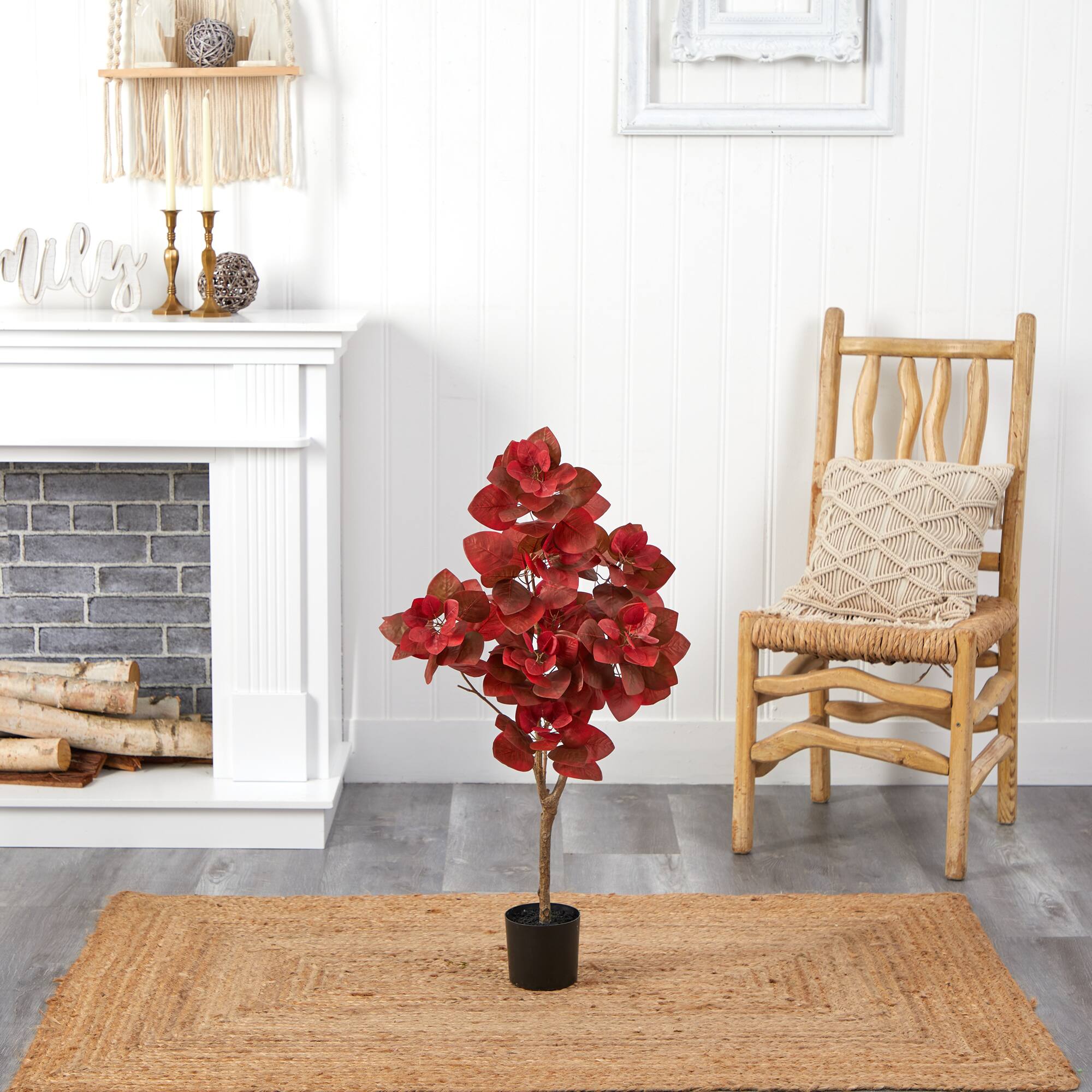 3ft. Potted Autumn Pomegranate Tree