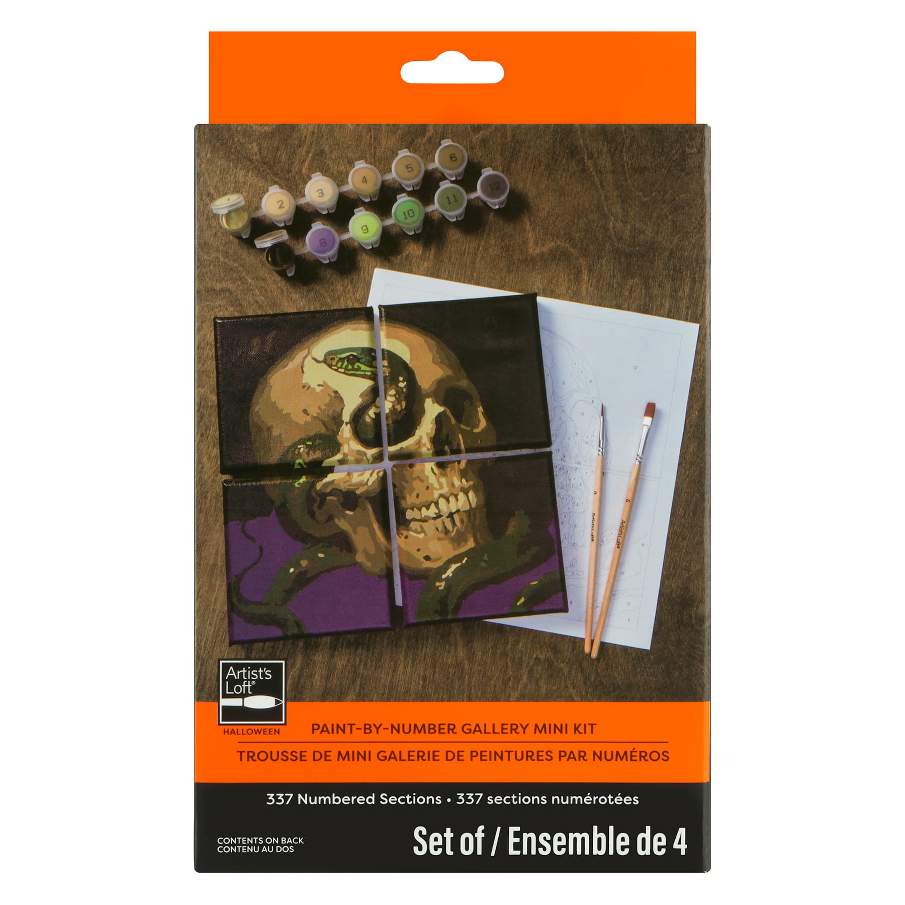 Skull & Snake Paint-by-Number Gallery Mini Kit by Artist's Loft®