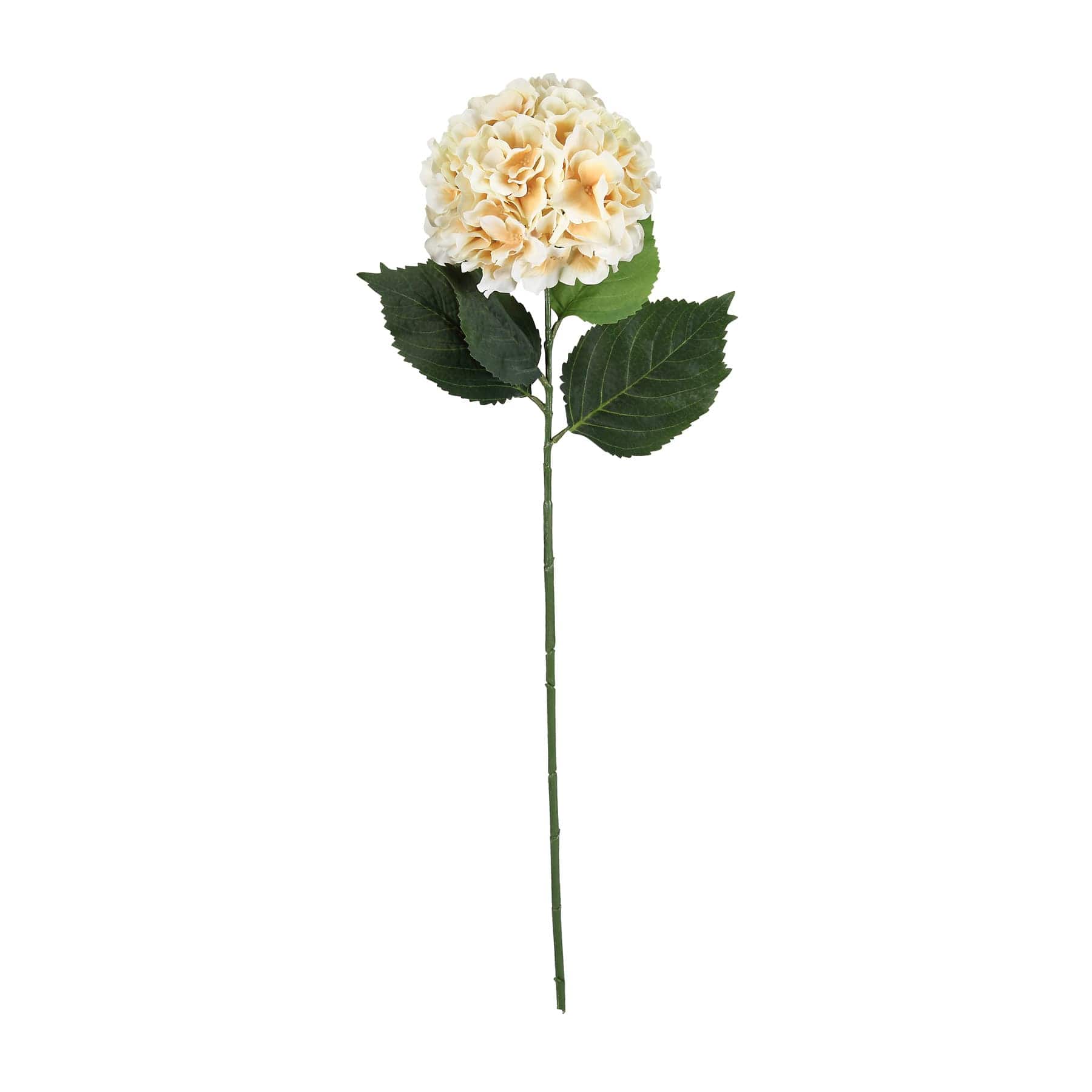 Garden Blooms Hydrangea Stem by Ashland®
