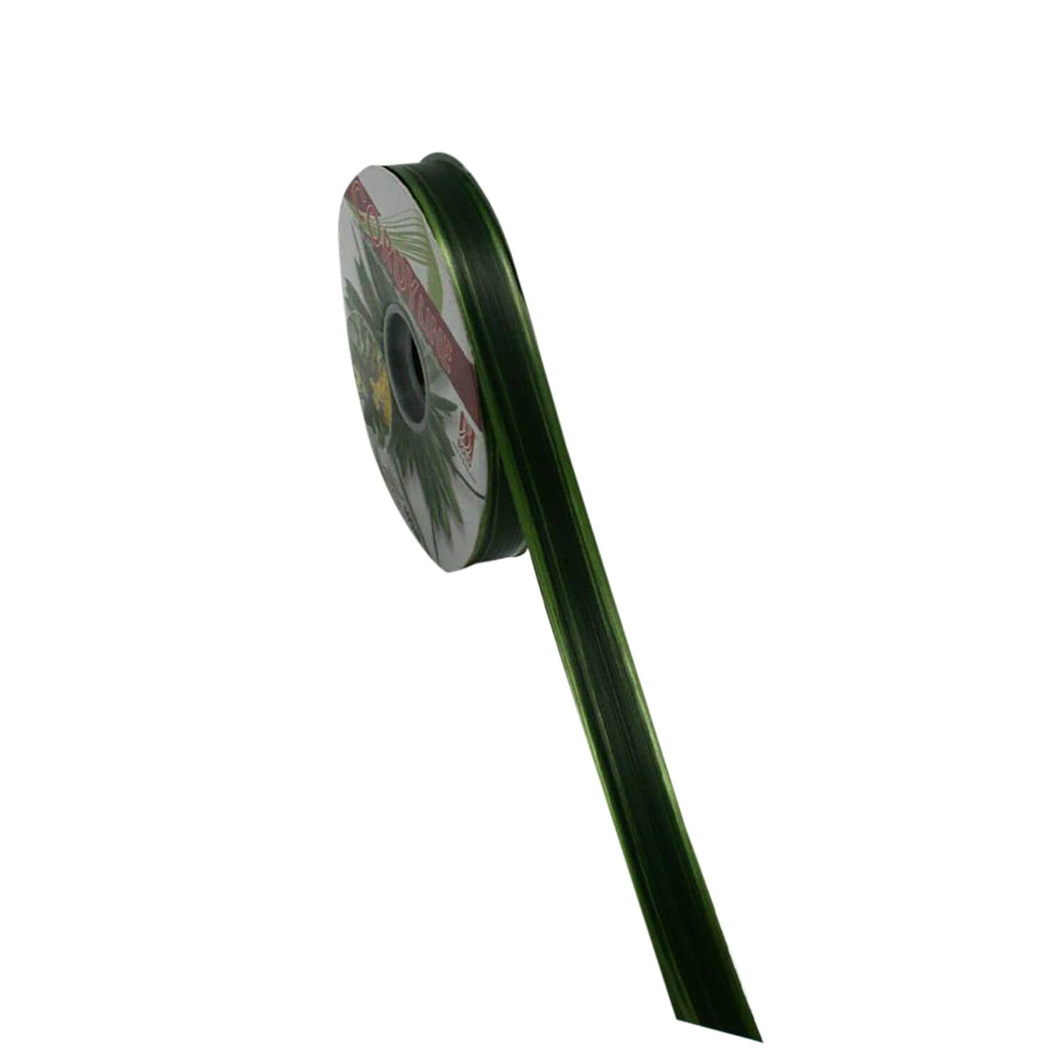 Reliant 3/4" x 110yd. Aspid Ombre Rd Plastic Ribbon
