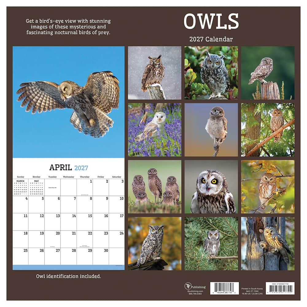 2027 Owls Wall Calendar