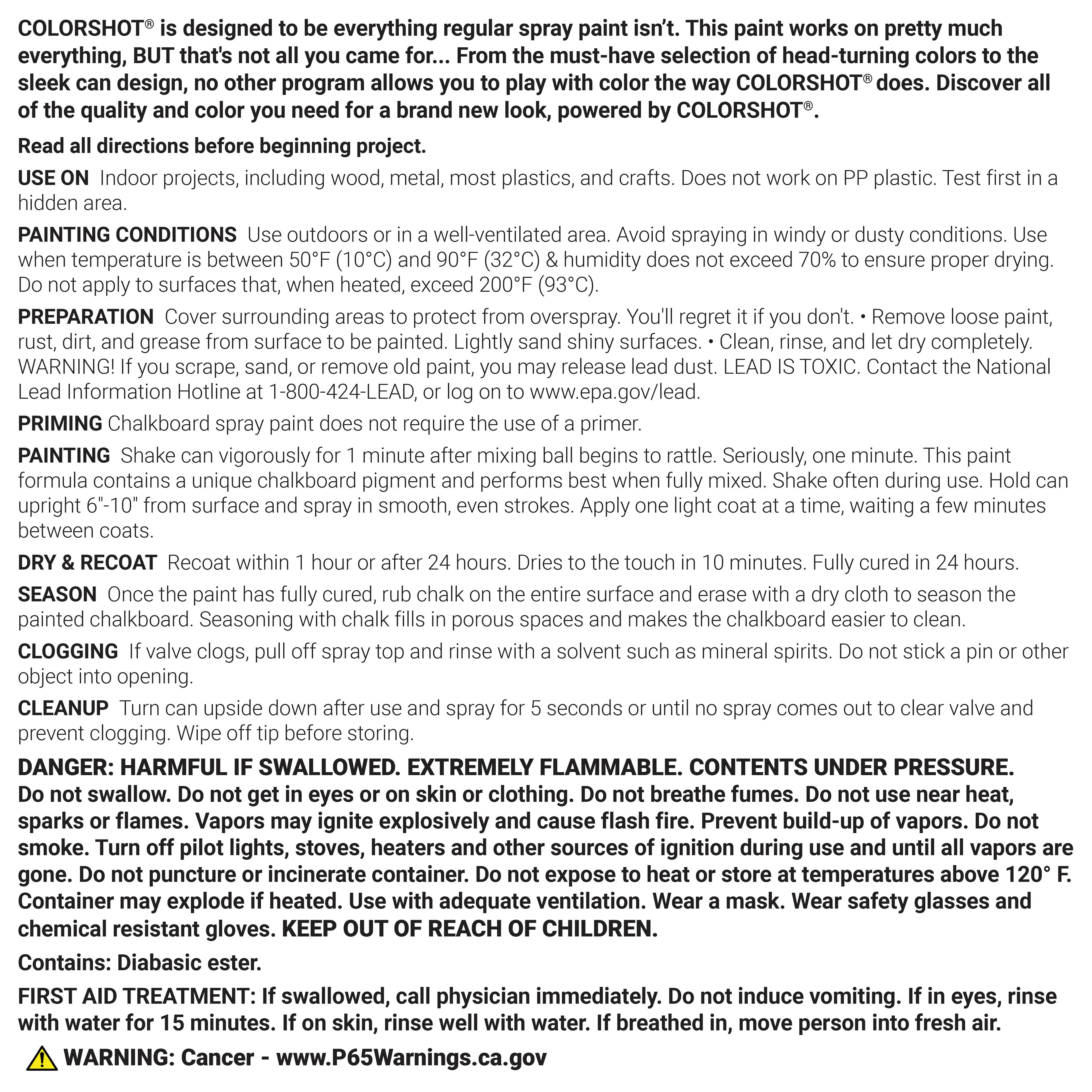 COLORSHOT® 10oz. Black Chalkboard Spray Paint