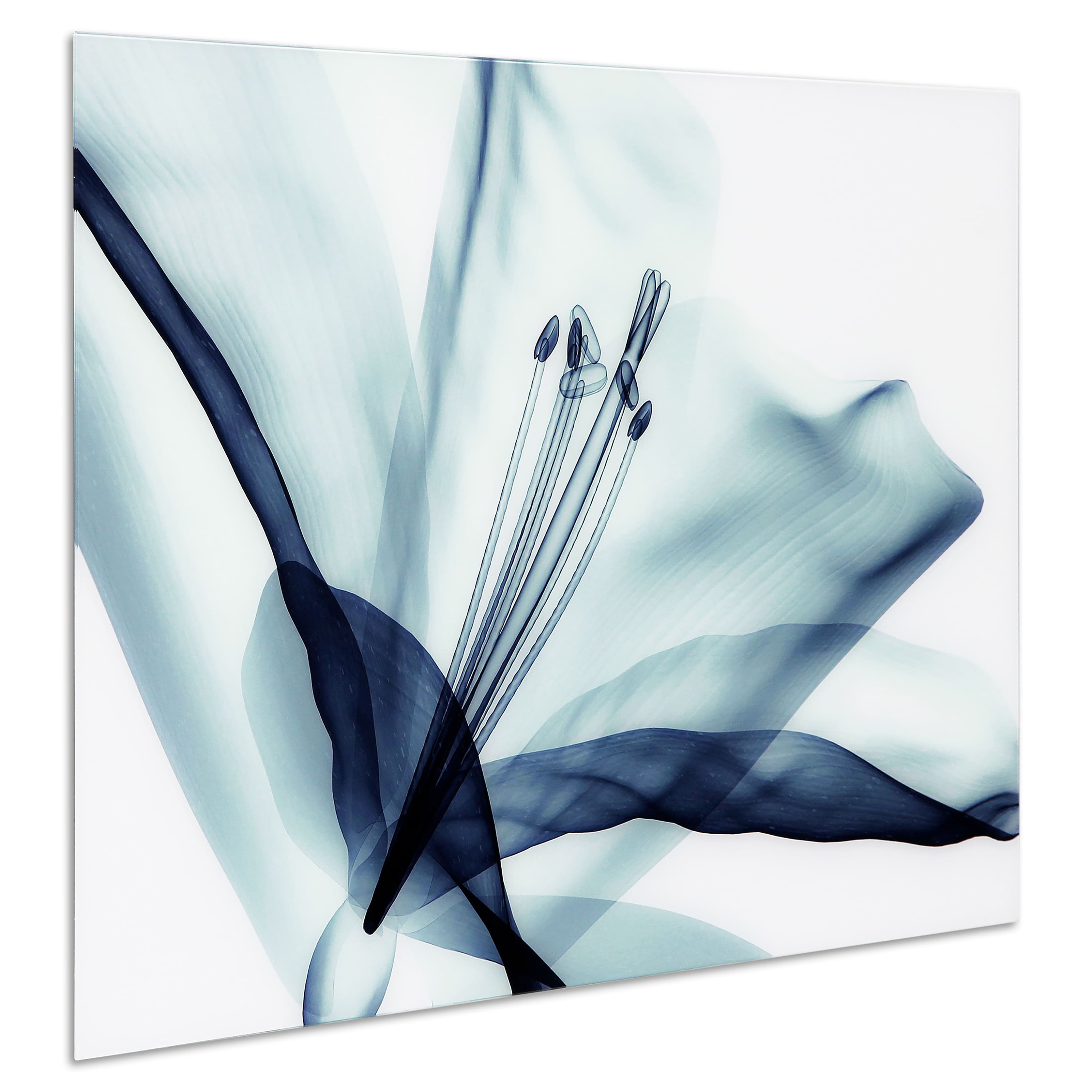 Empire Art Direct 32" x 48" 3D Amaryllis Frameless Free Floating Printed Wall Art