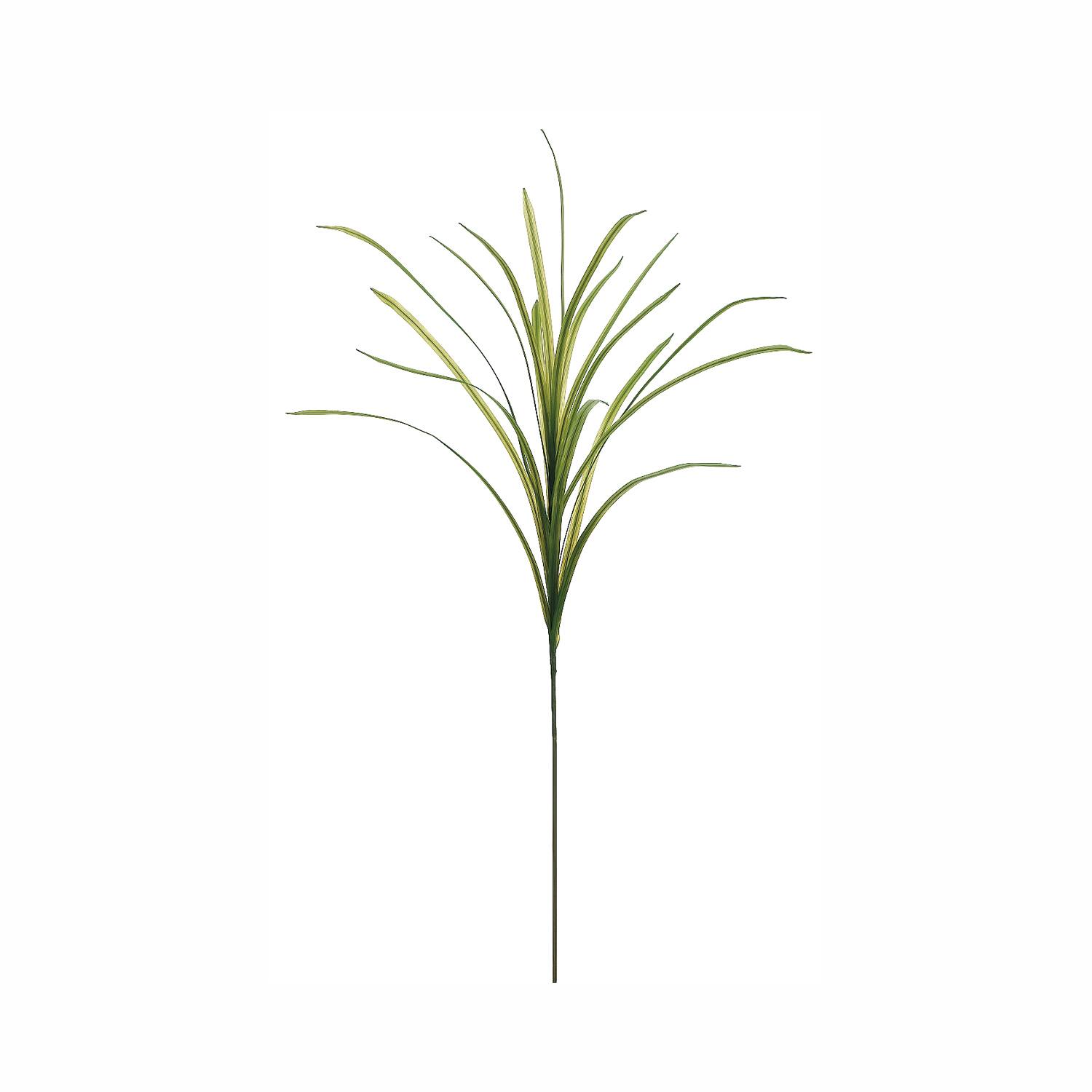 Green Flax Spray