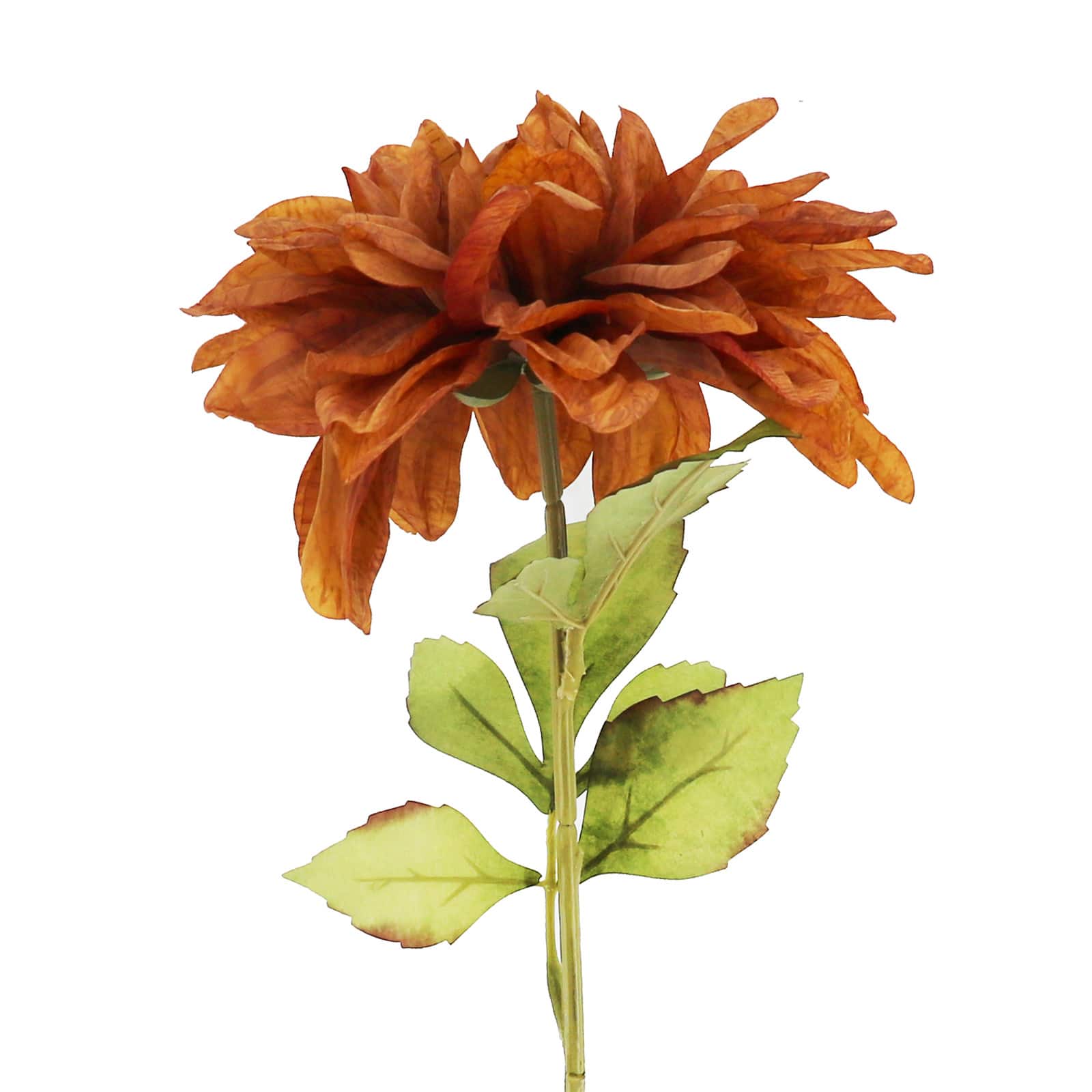 27" Brown Dahlia Stem by Ashland