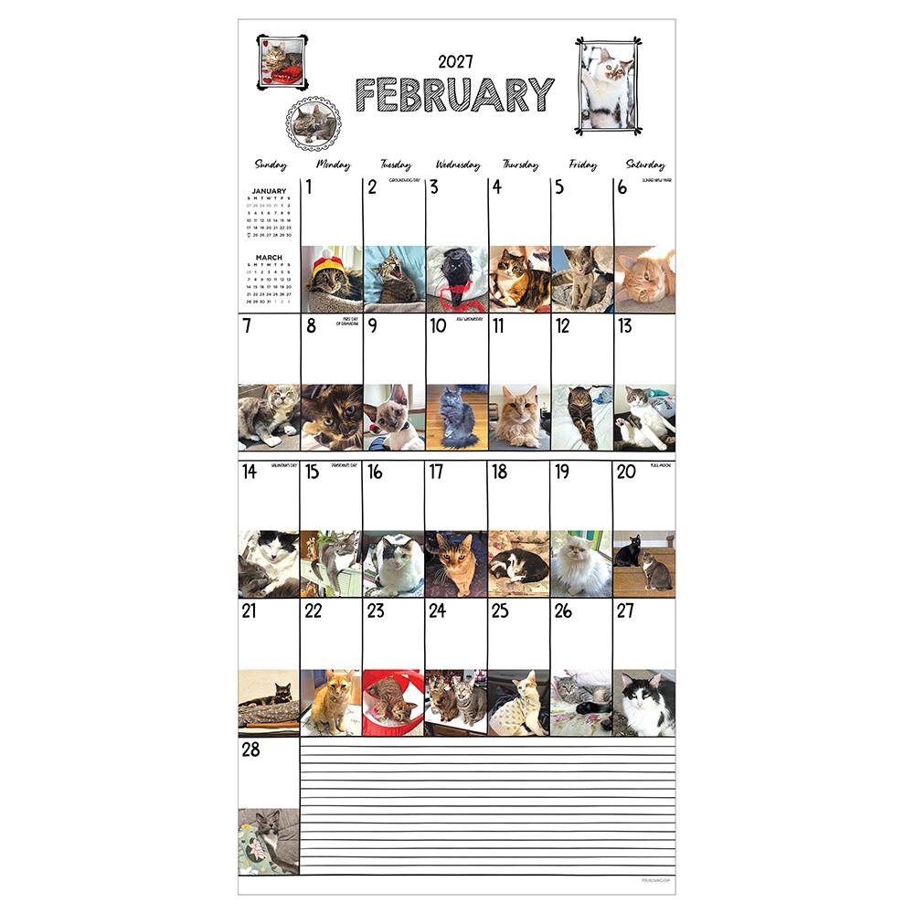 2027 Cat-A-Day Wall Calendar