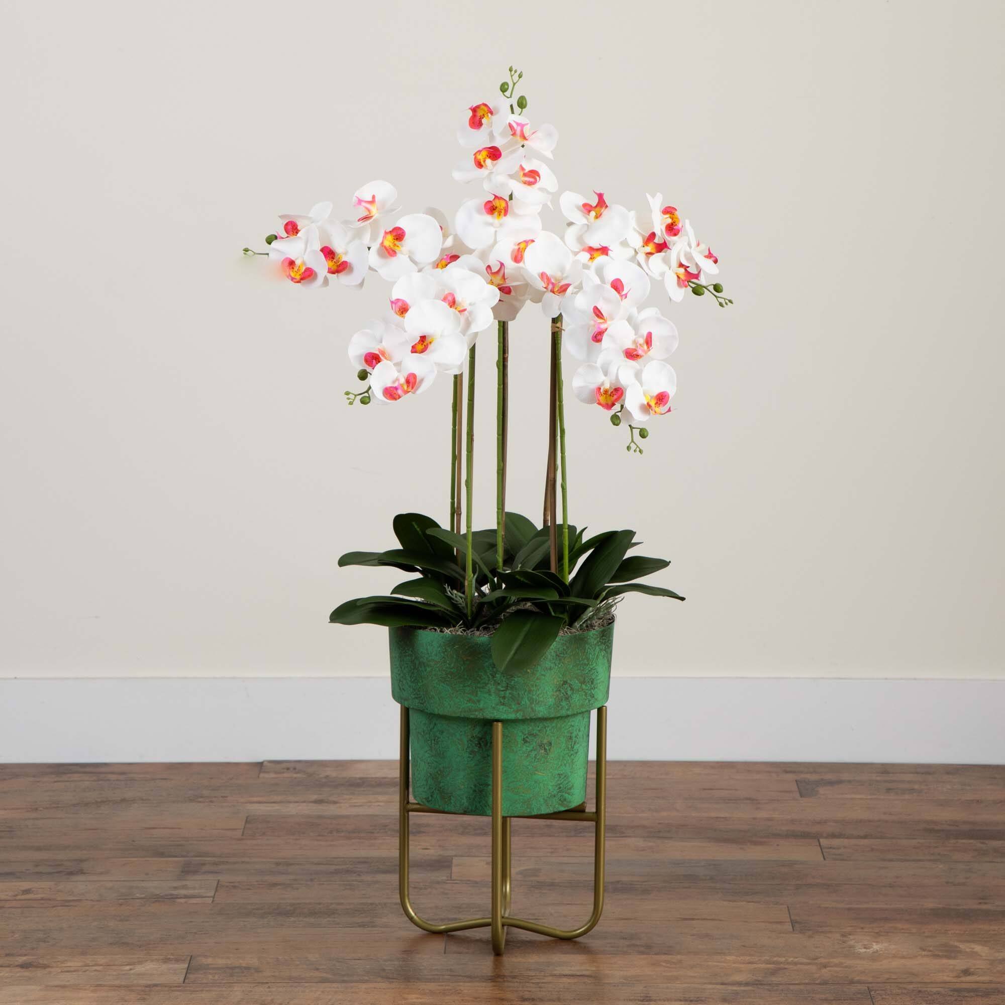 3.5ft. White Orchid Arrangement in Patina Metal Planter with Stand