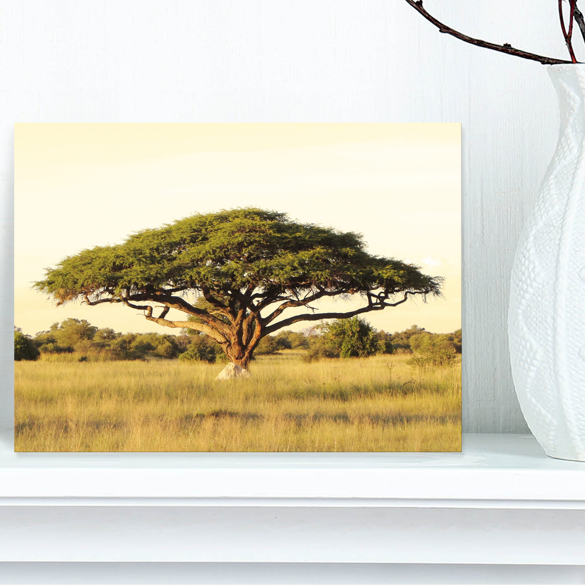 Designart - Acacia Tree on African Plain - Oversized African Landscape Canvas Art