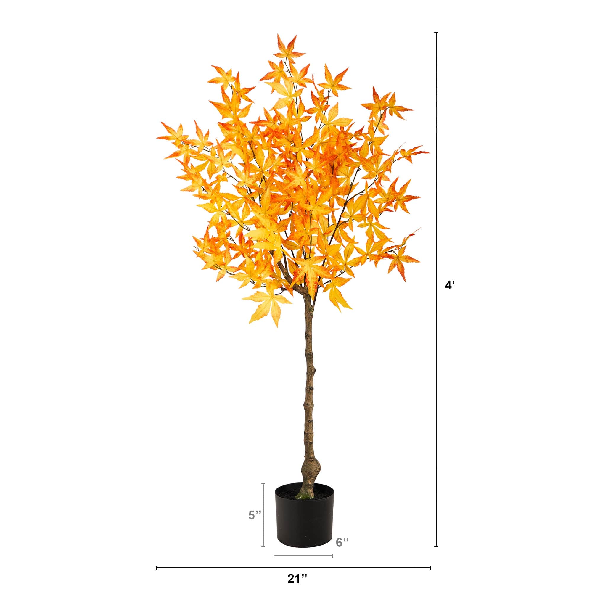 4ft. Potted Yellow Autumn Maple Tree