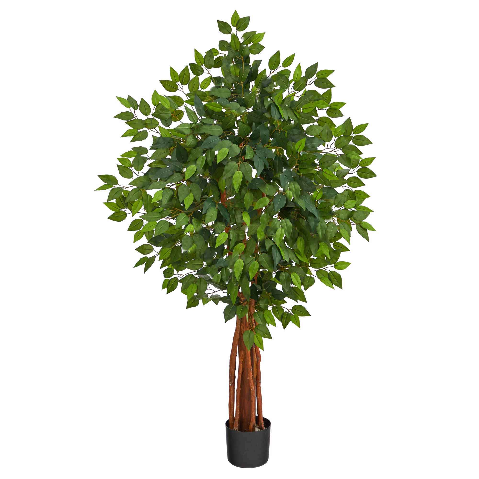4.5ft. Potted Super Deluxe Ficus Tree
