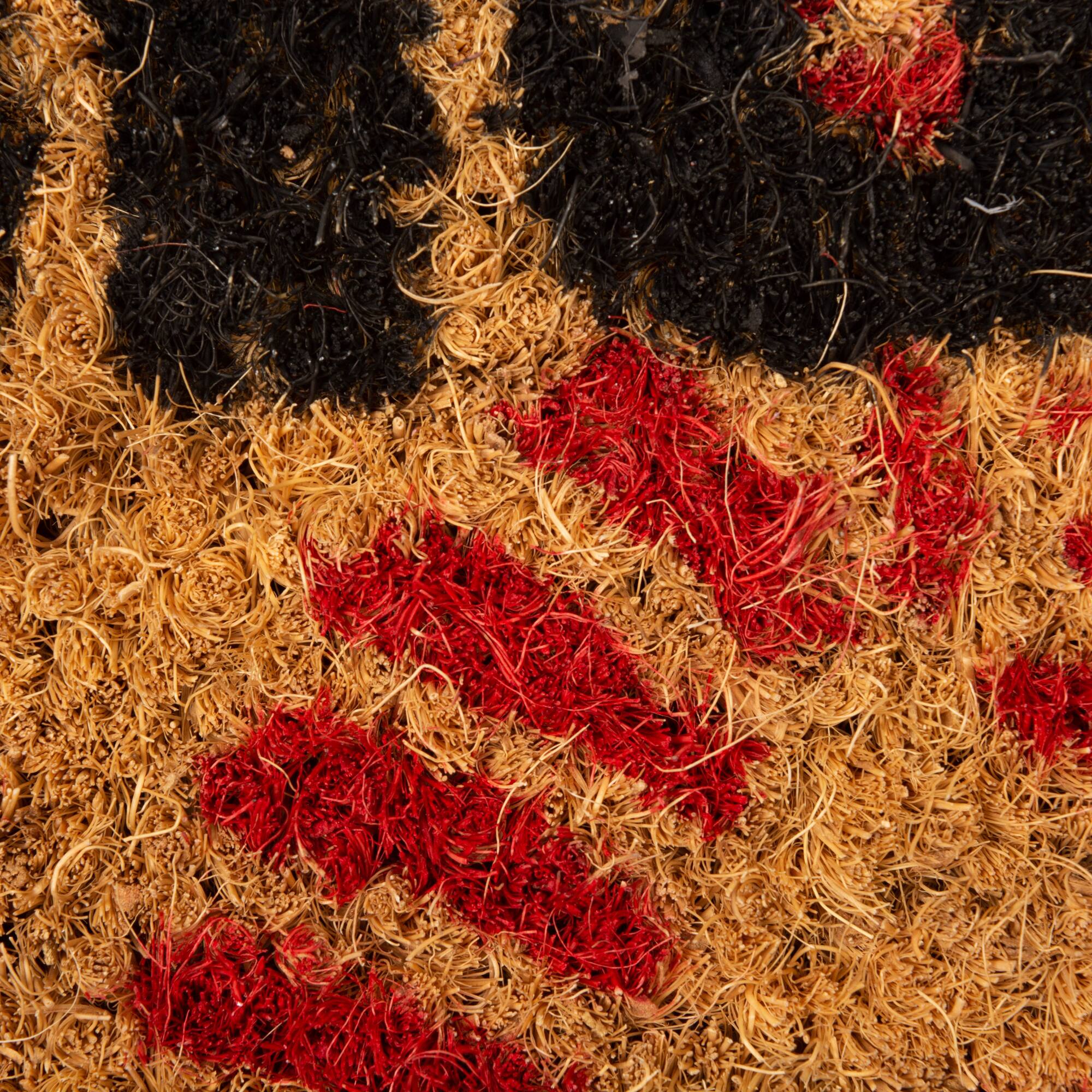 DII® Welcome Crawfish Cluster Coir Doormat