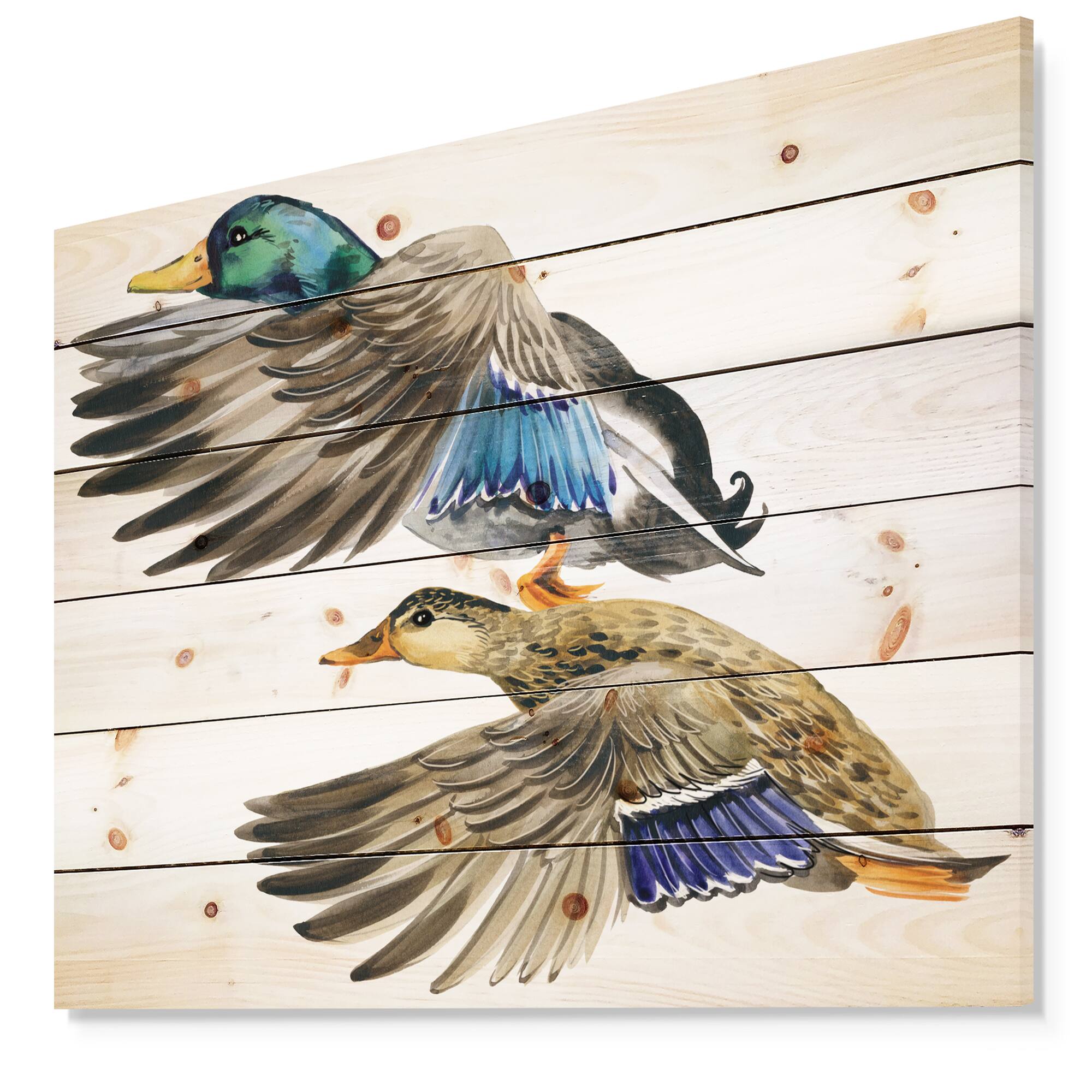 Designart - Colored Duck isolated on white background - Sketch of Farmhouse Animals of Painting Print on Natural Pine Wood