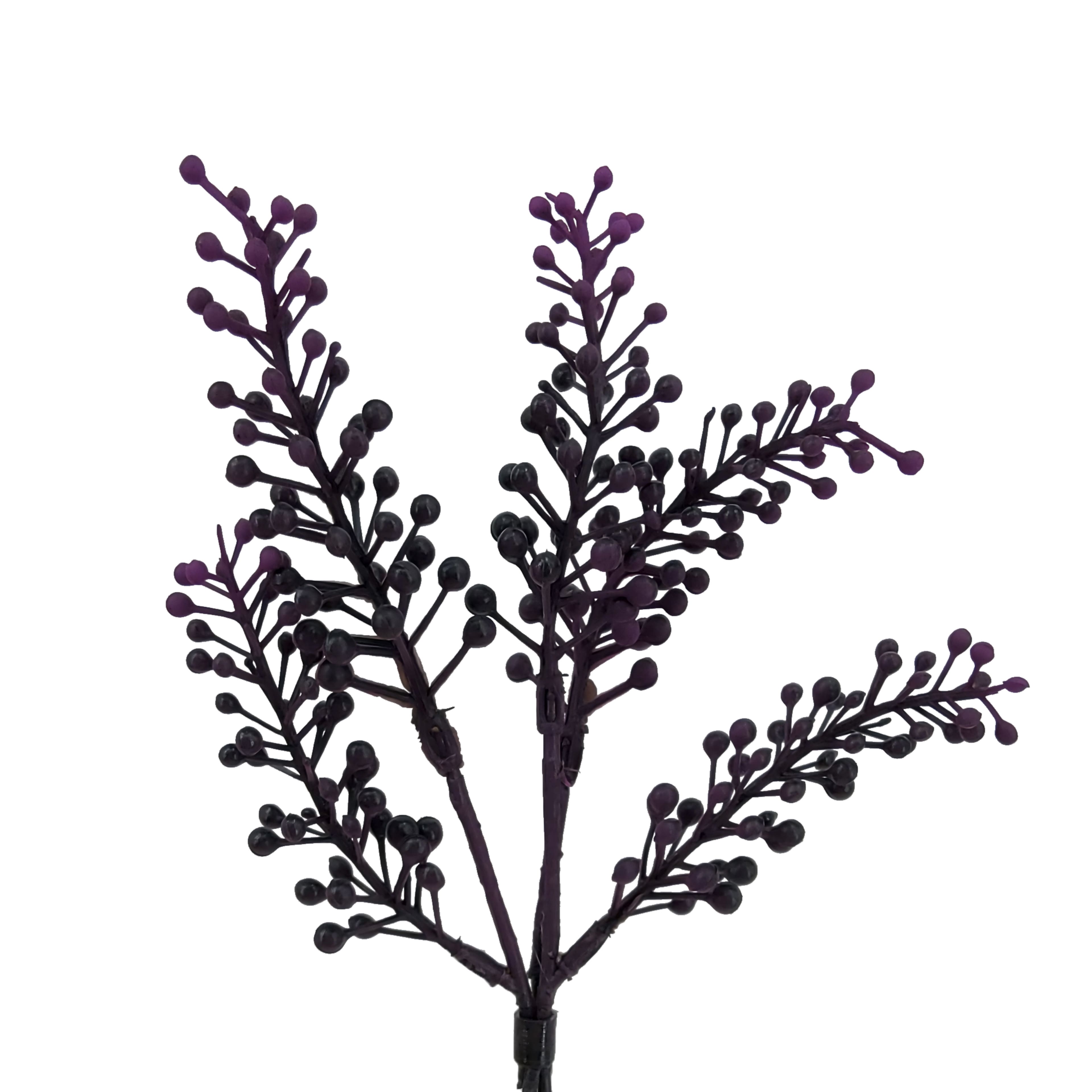 12" Purple Berry Seed Mini Bundle by Ashland®