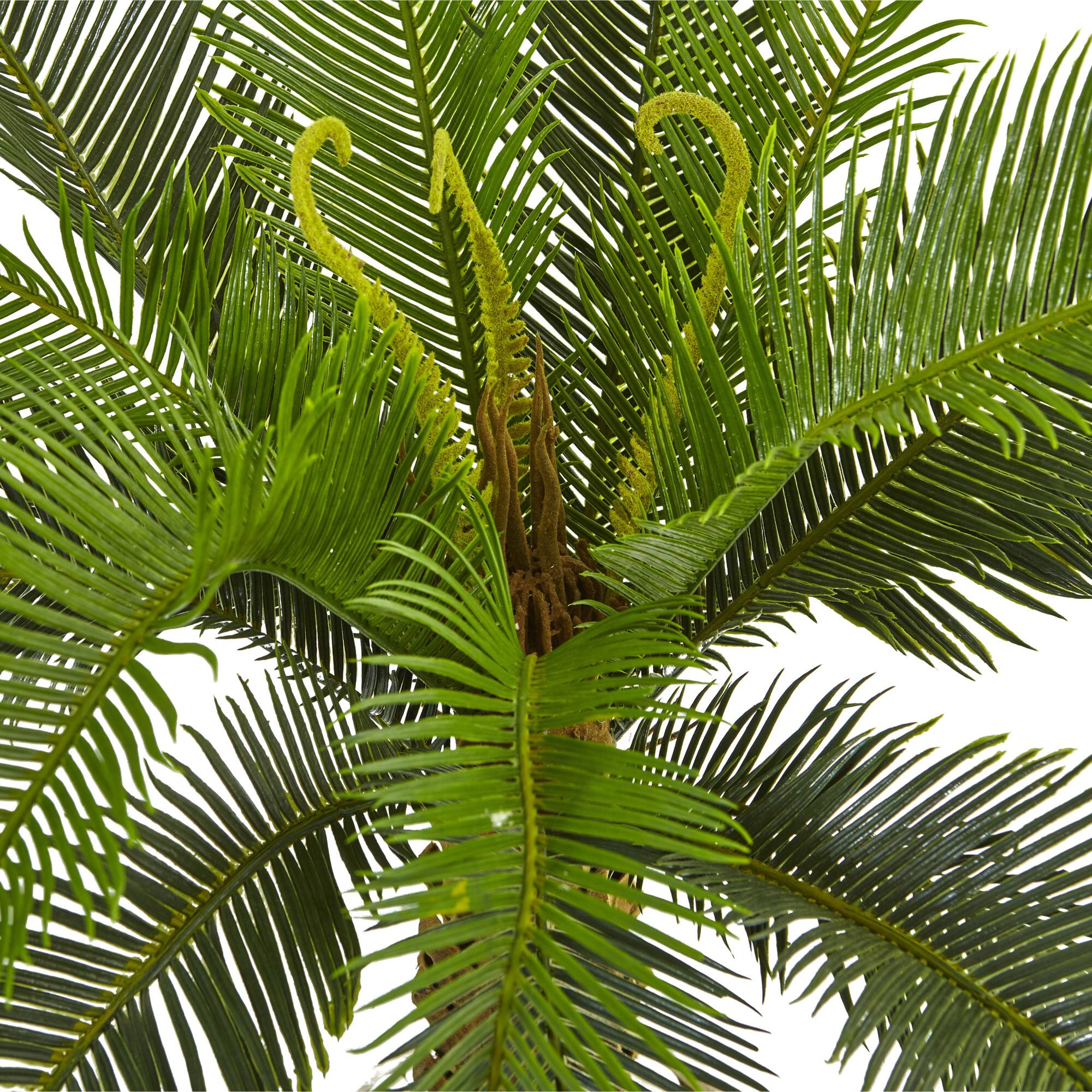 3ft. Sago Palm Tree in White Tower Planter